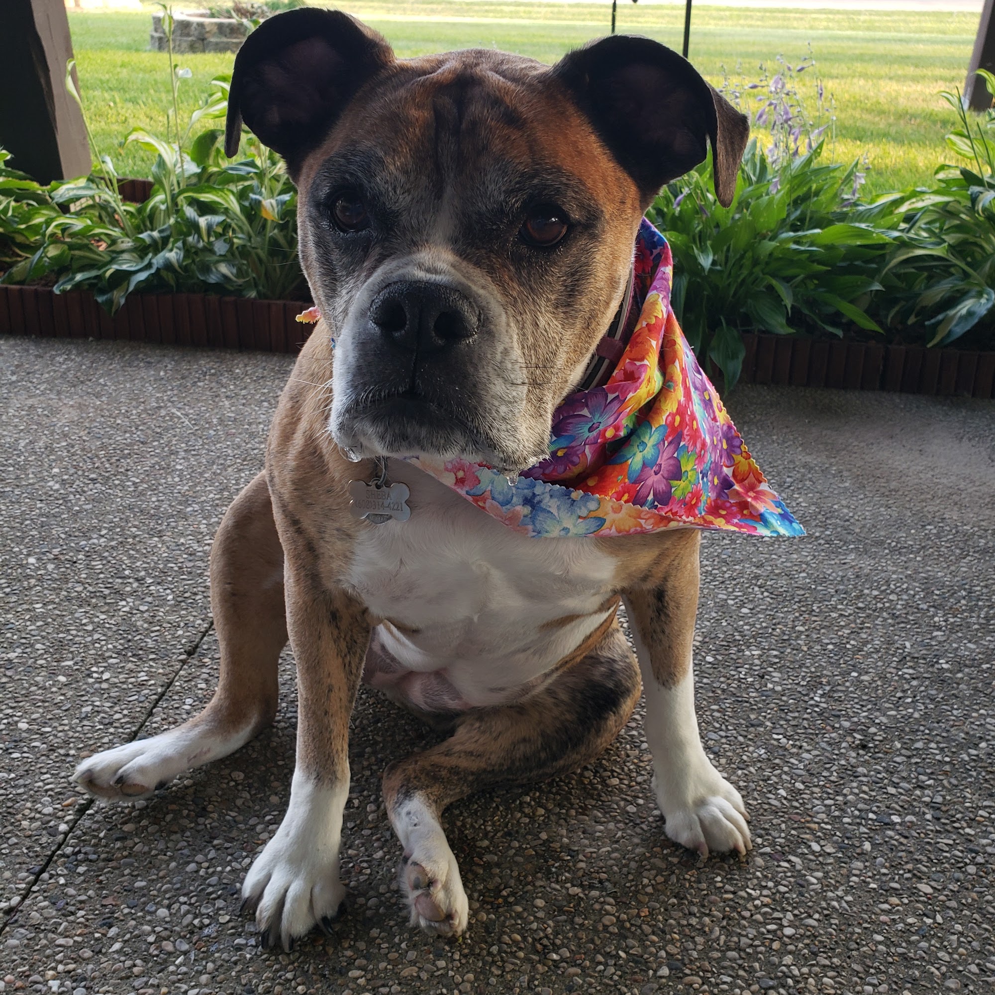 The Grooming Room Brodhead