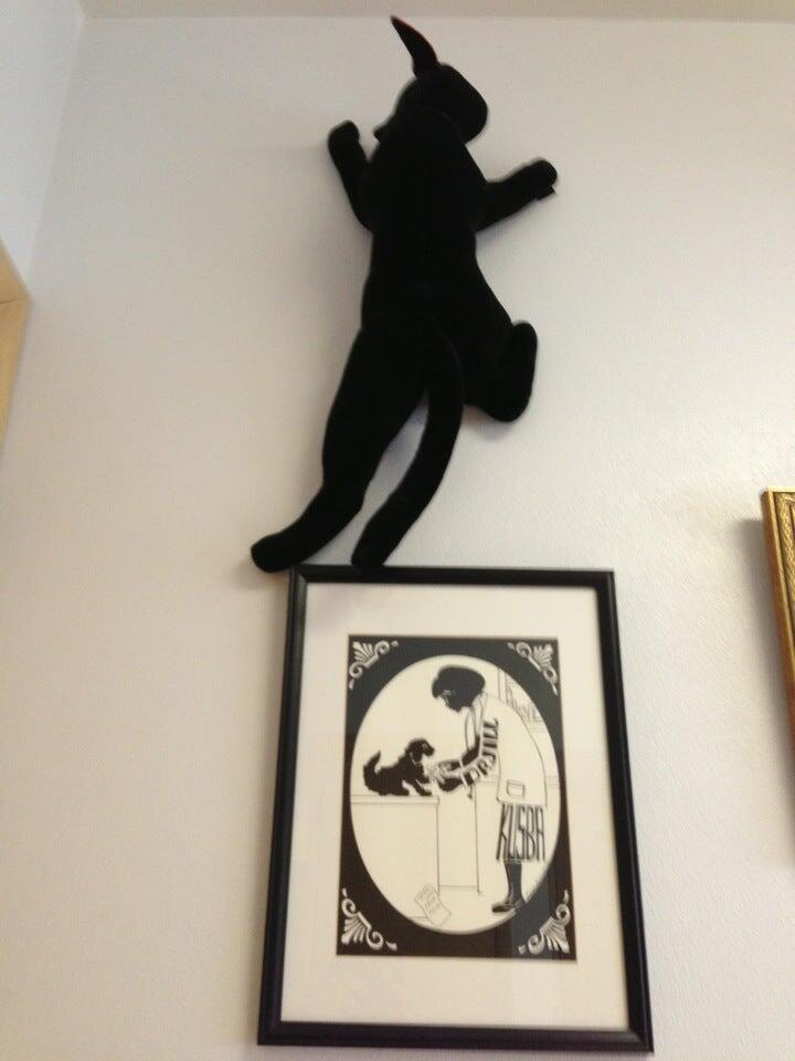 Care Animal Clinic Brookfield