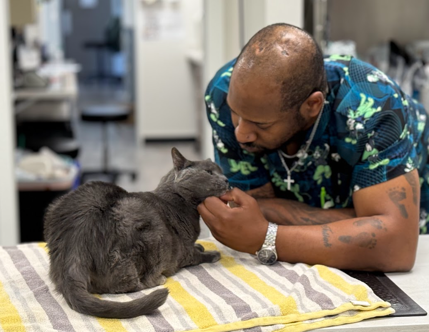 Burleigh Road Animal Hospital Brookfield