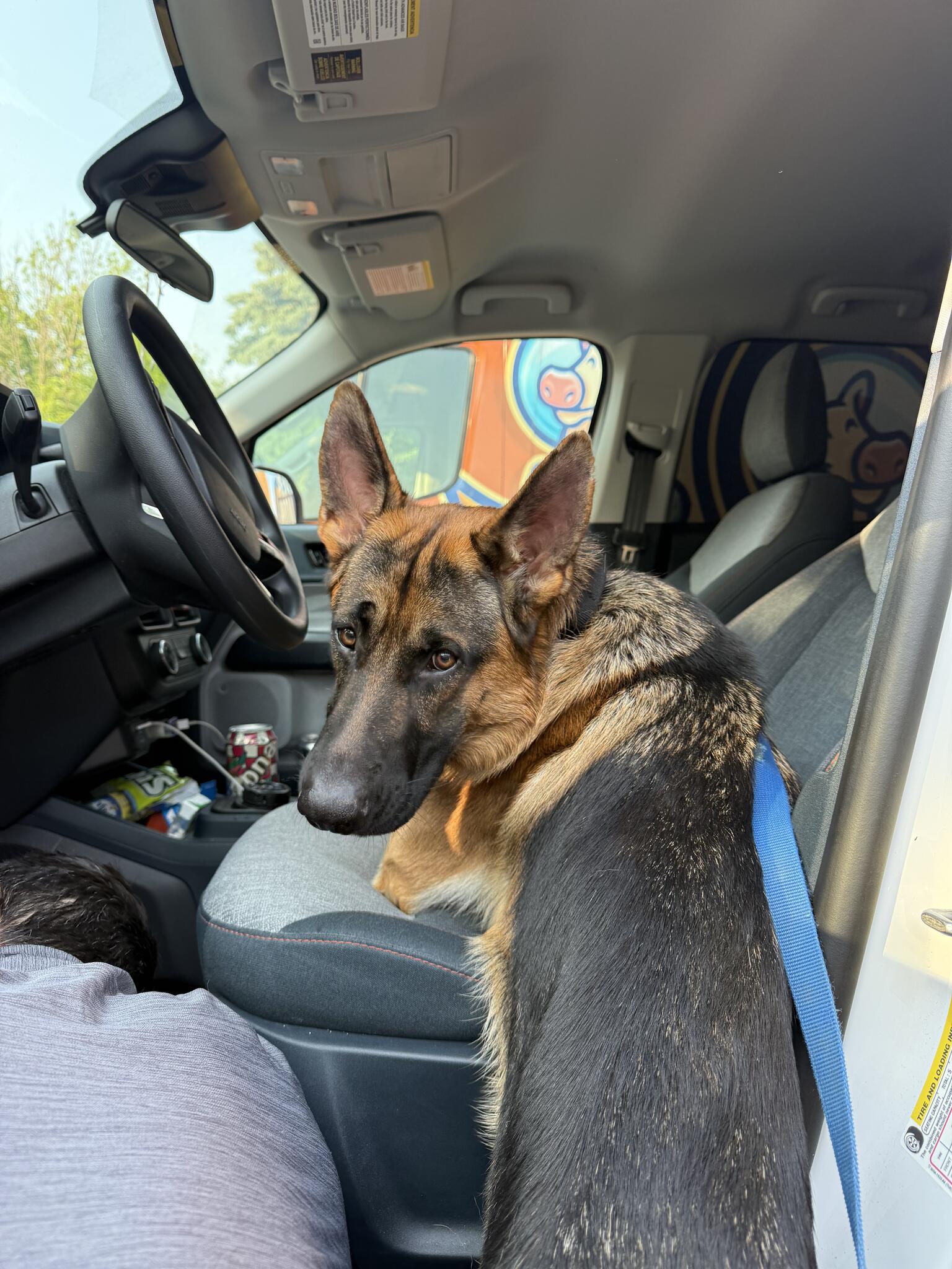 Photo credit: nextdoor