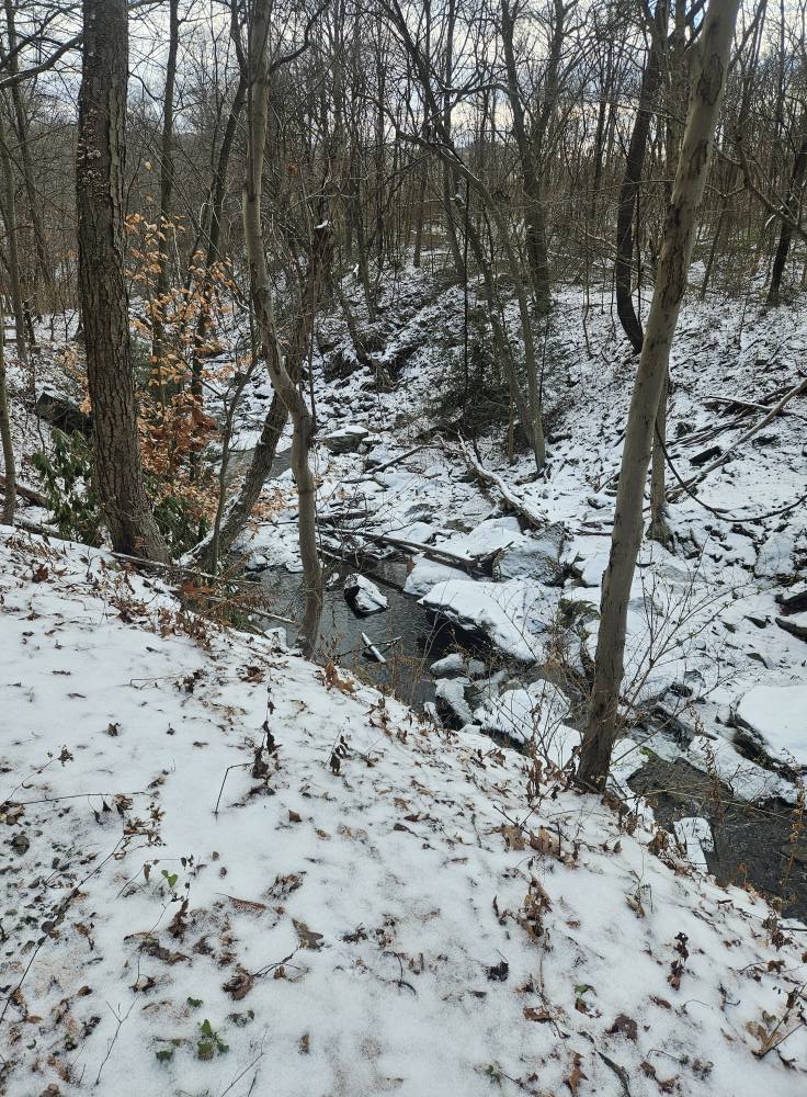 Dog's Best Friend (Premier Dog Training) Brookfield