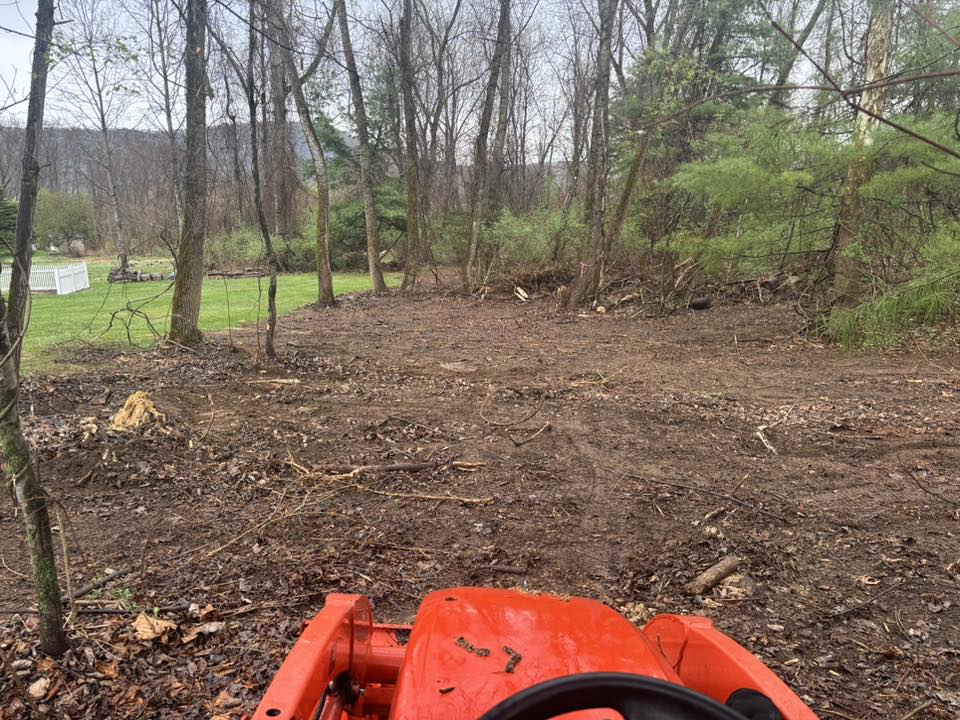 Cutting Edge Lawn Maintenance & Landscaping