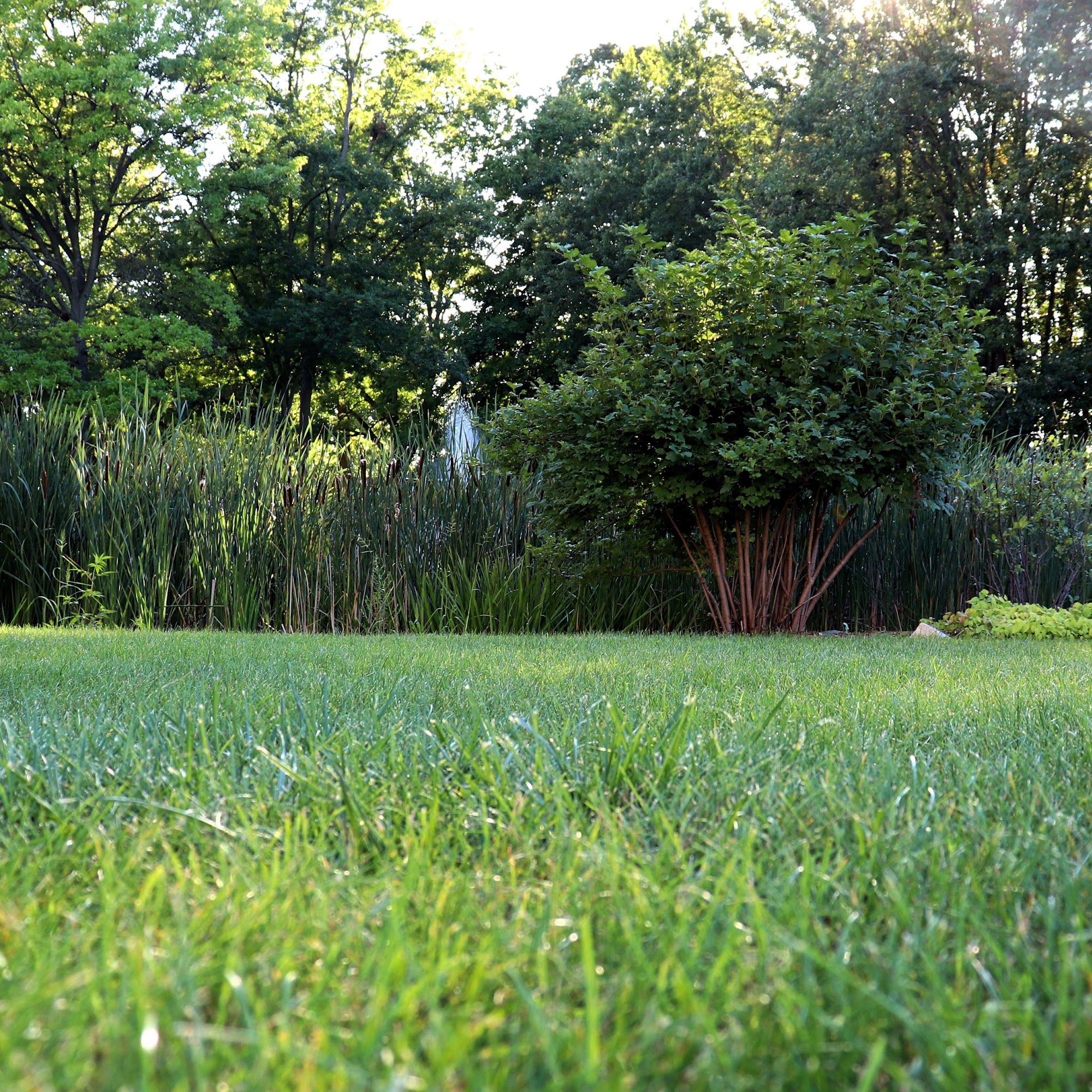 So Green Lawn Care, LLC