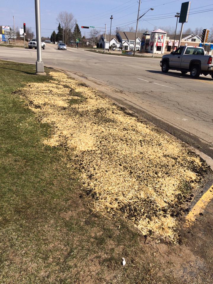 J & B Yard Maintenance