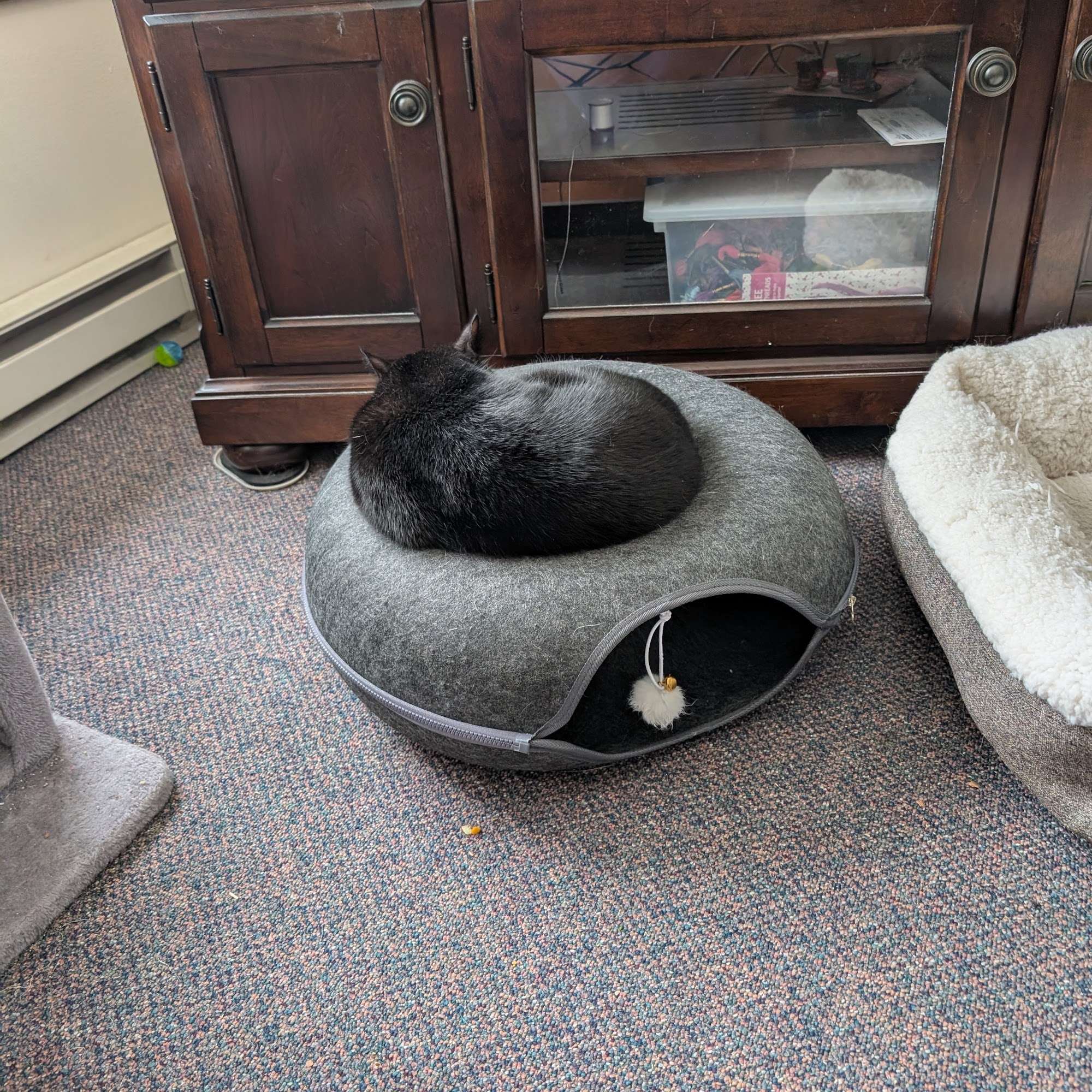 Chippewa Humane Association Chippewa Falls