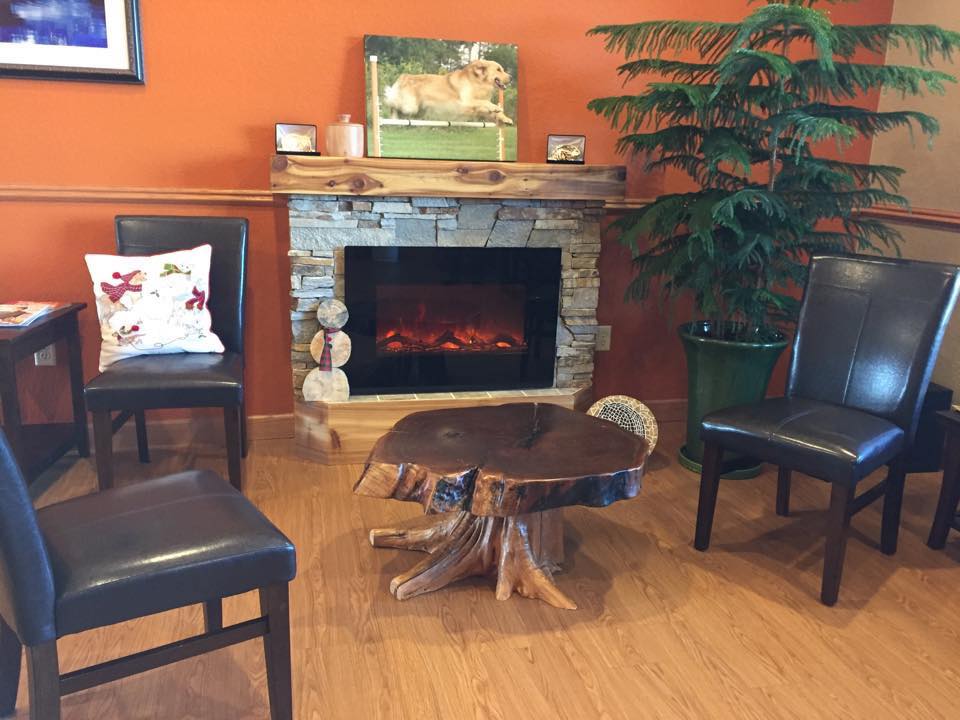 Acupuncture Pain Clinic, LLC