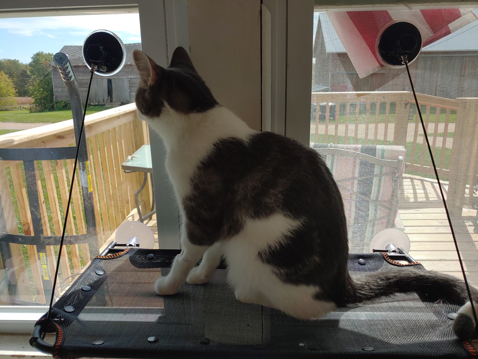 Columbus Countryside Veterinary Clinic Columbus