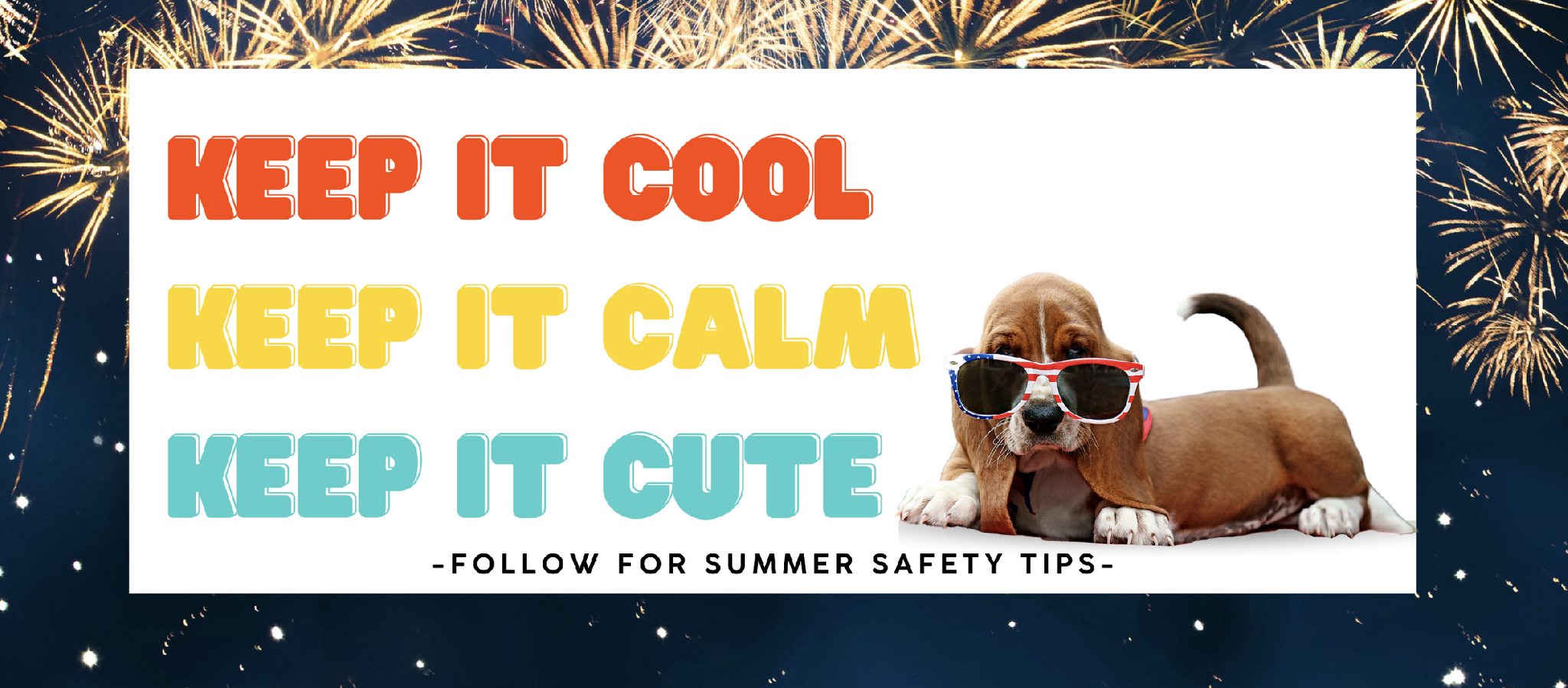 Deer Grove Veterinary Clinic Cottage Grove