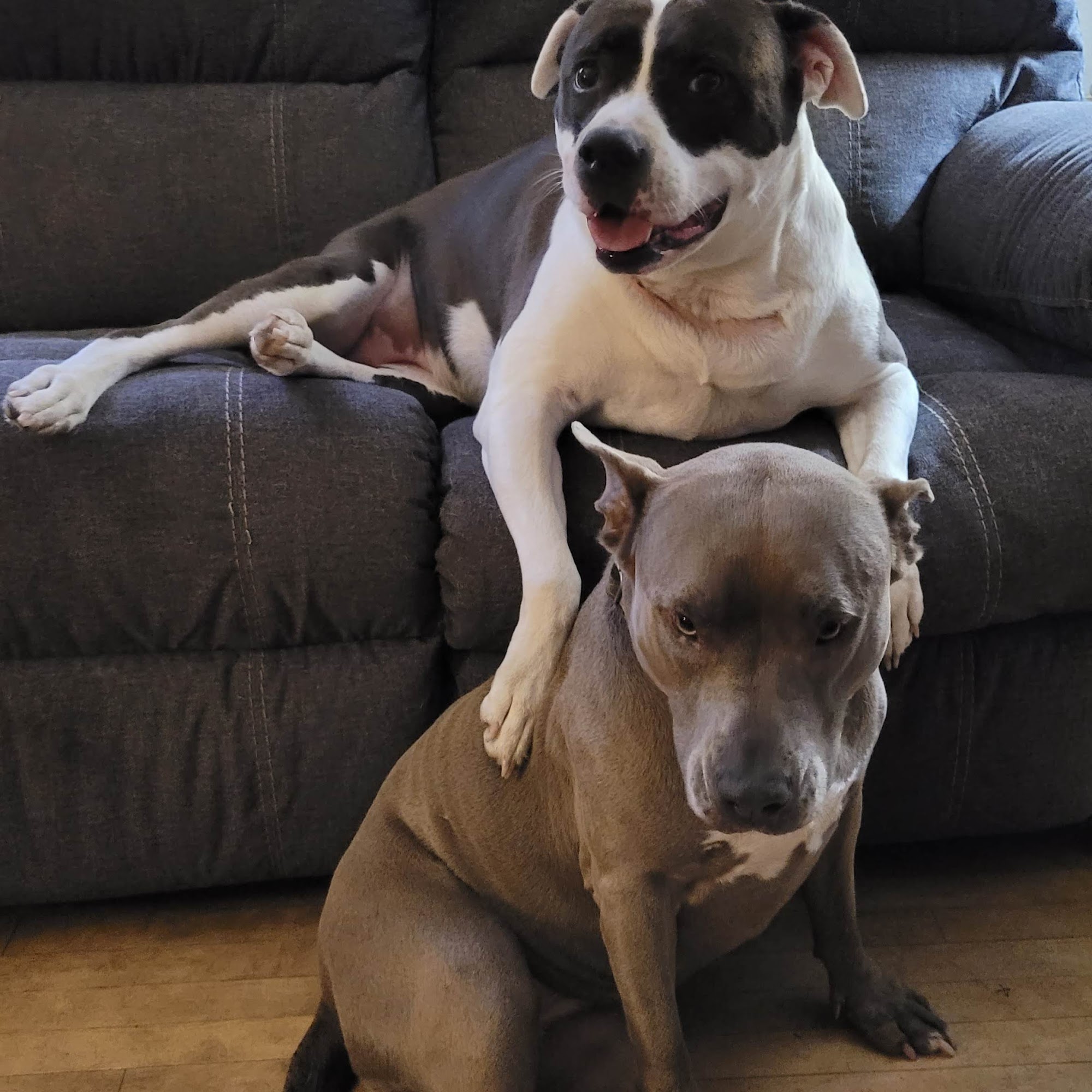 Countryside Veterinary Clinic Crivitz