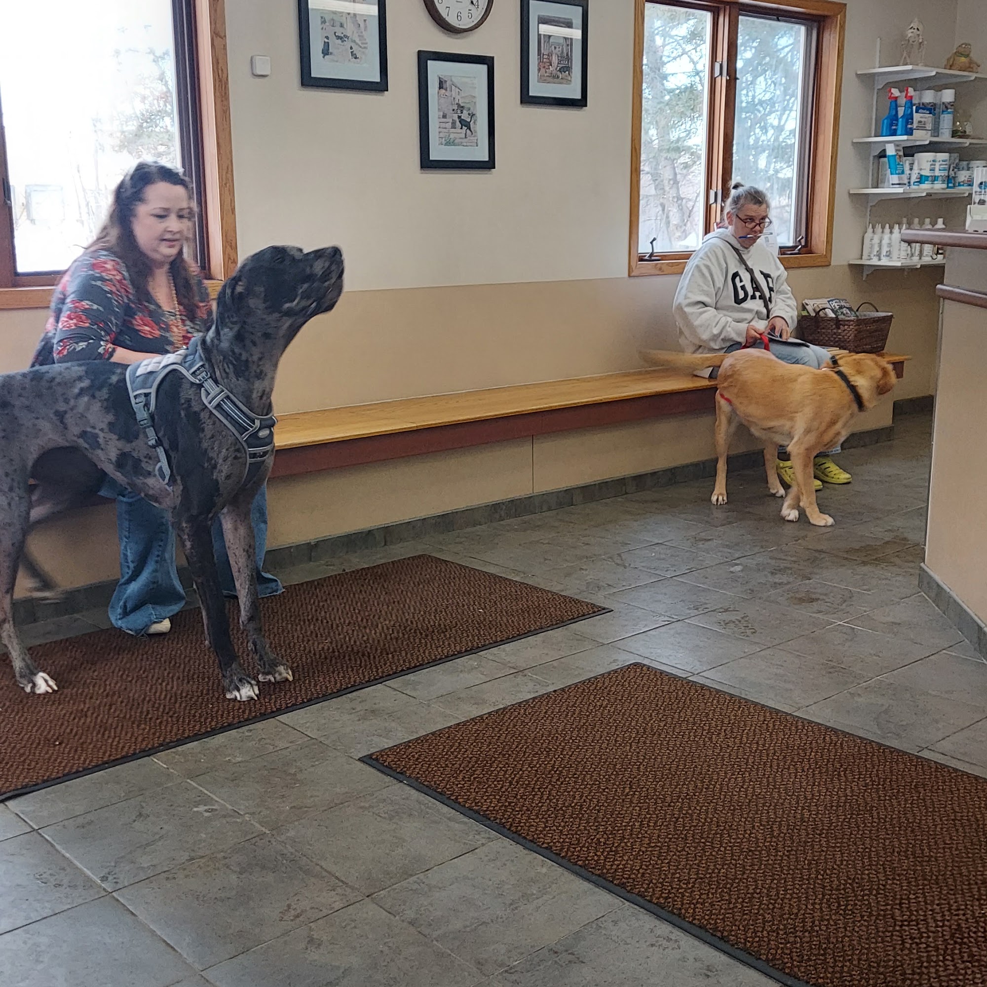 Northern Lakes Veterinary Clinic - Cumberland Cumberland