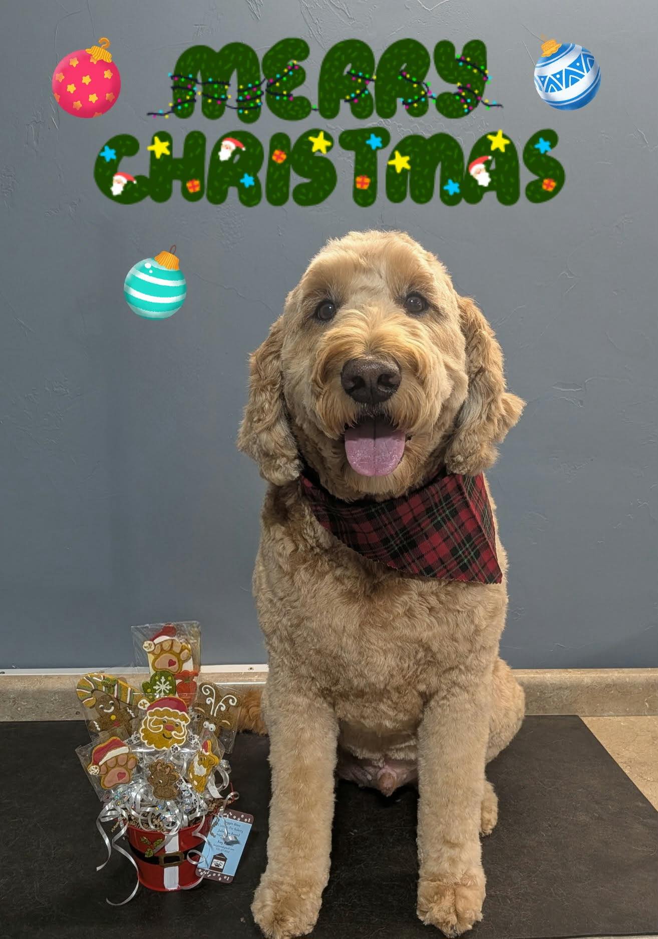Doggy Day Grooming, LLC De Pere