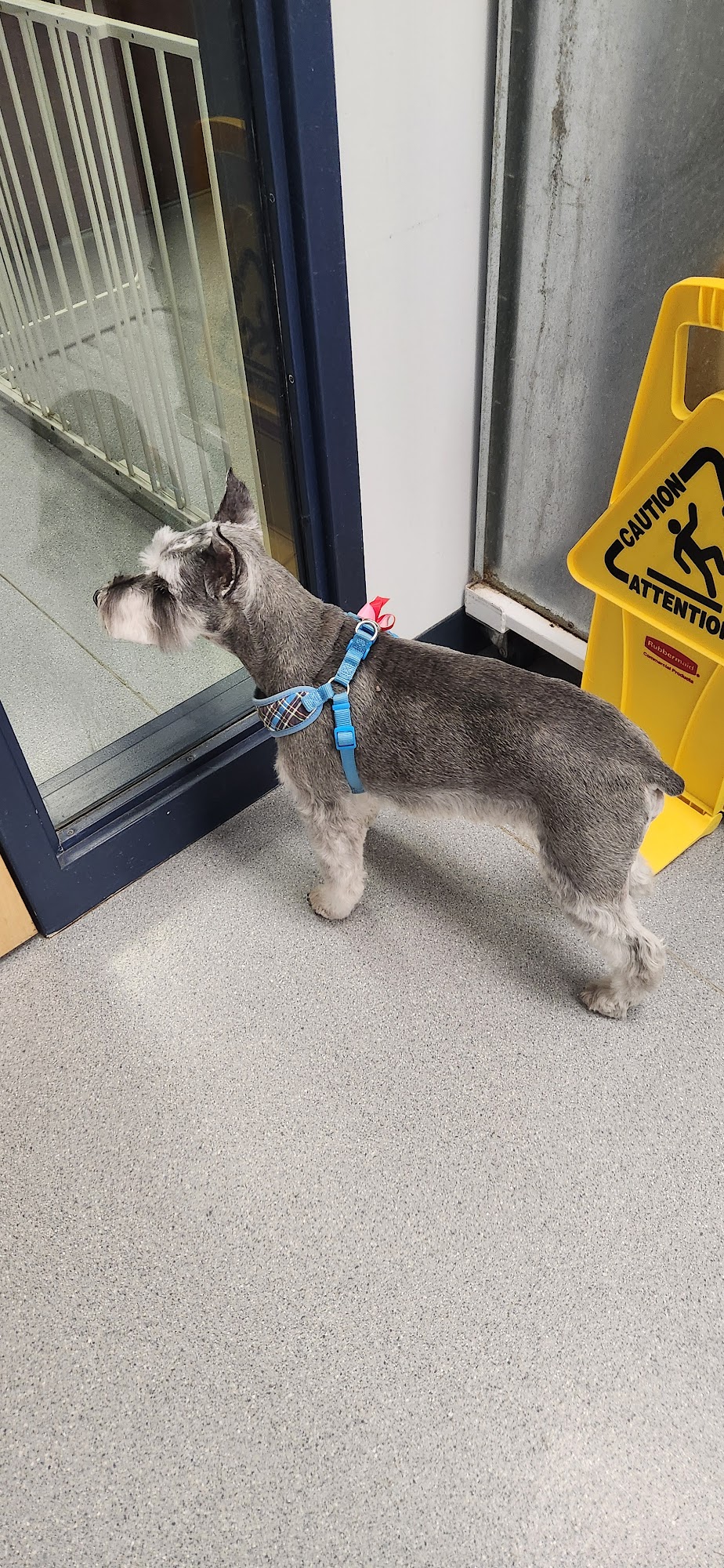 The Pet Parlor DeForest