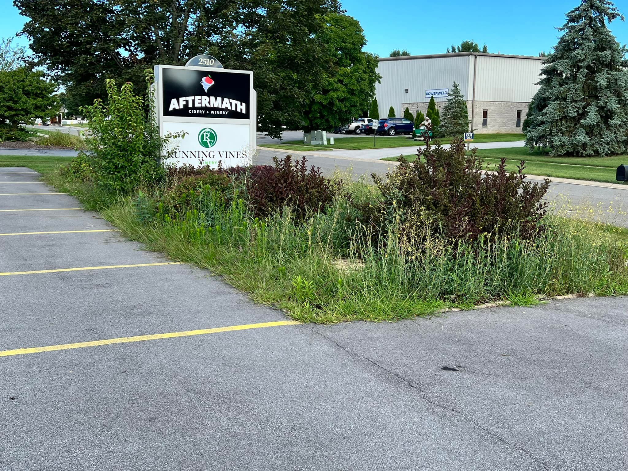 Absolute Property Services LLC