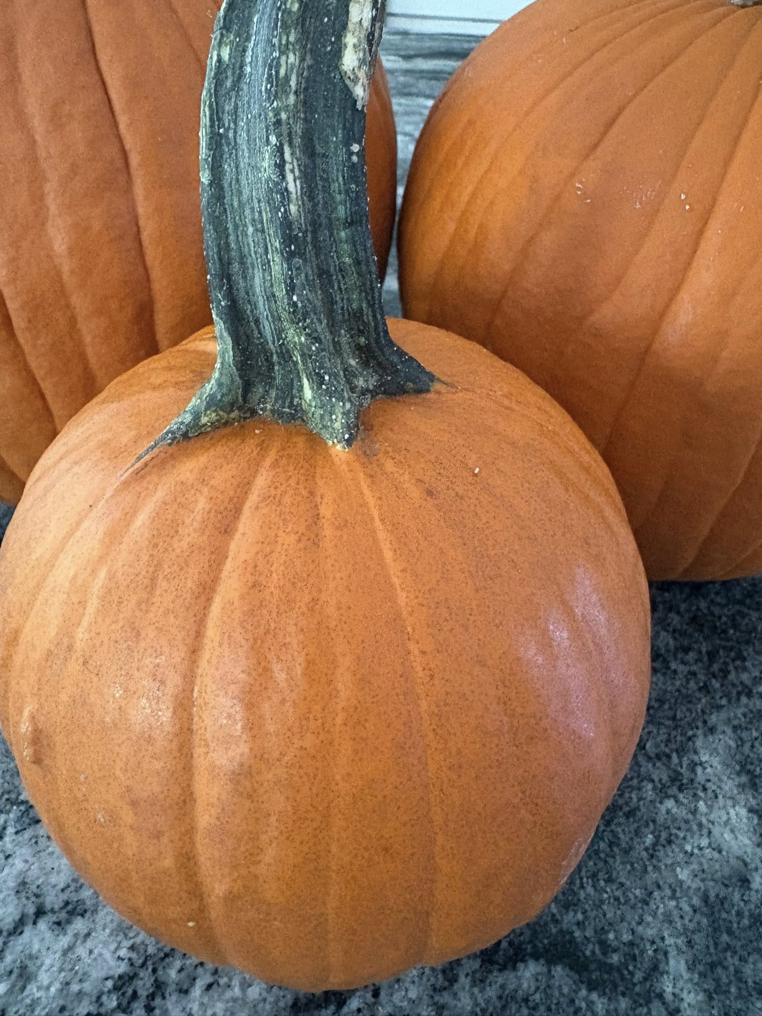 Green Door Cafe Delafield