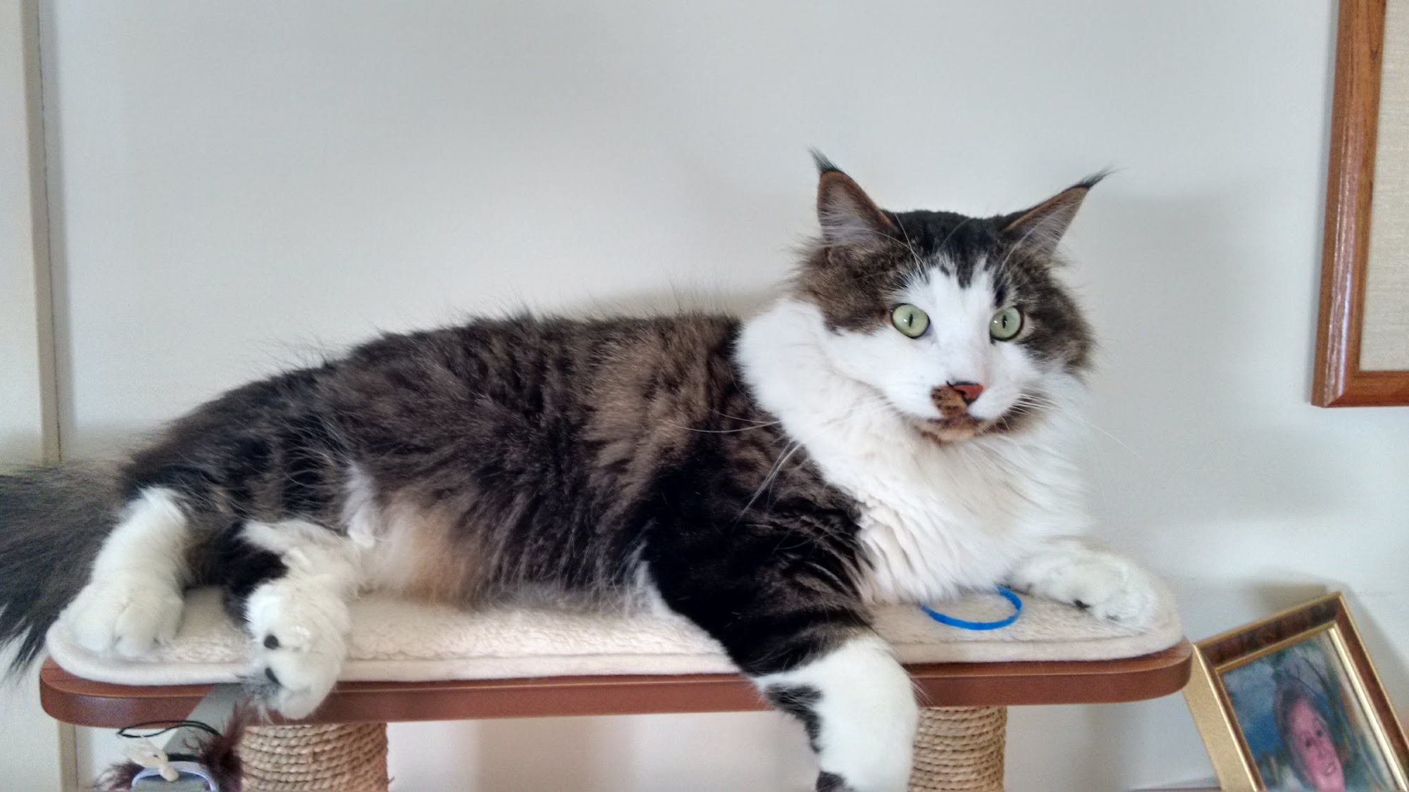 Delavan Lakes Delavan