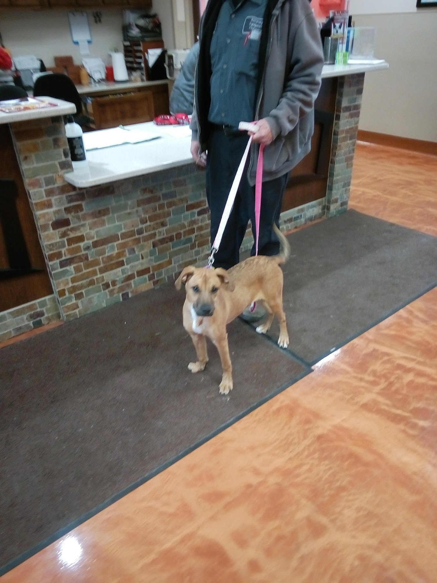 Lakeland Animal Shelter Delavan