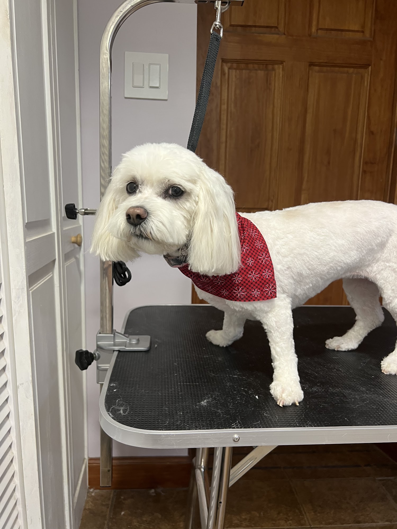 The Grooming Lab Delavan