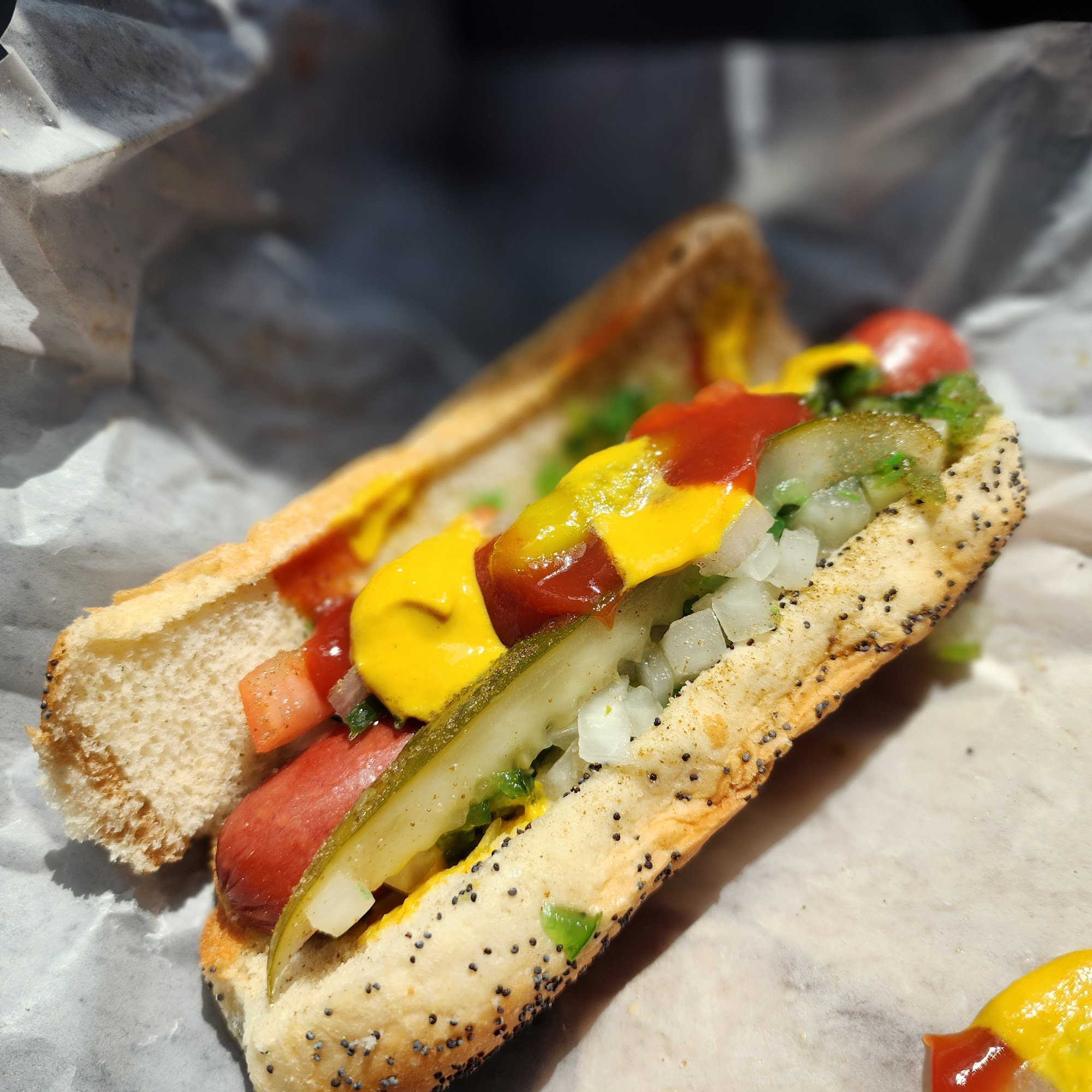 House Of Dogs Eagle River