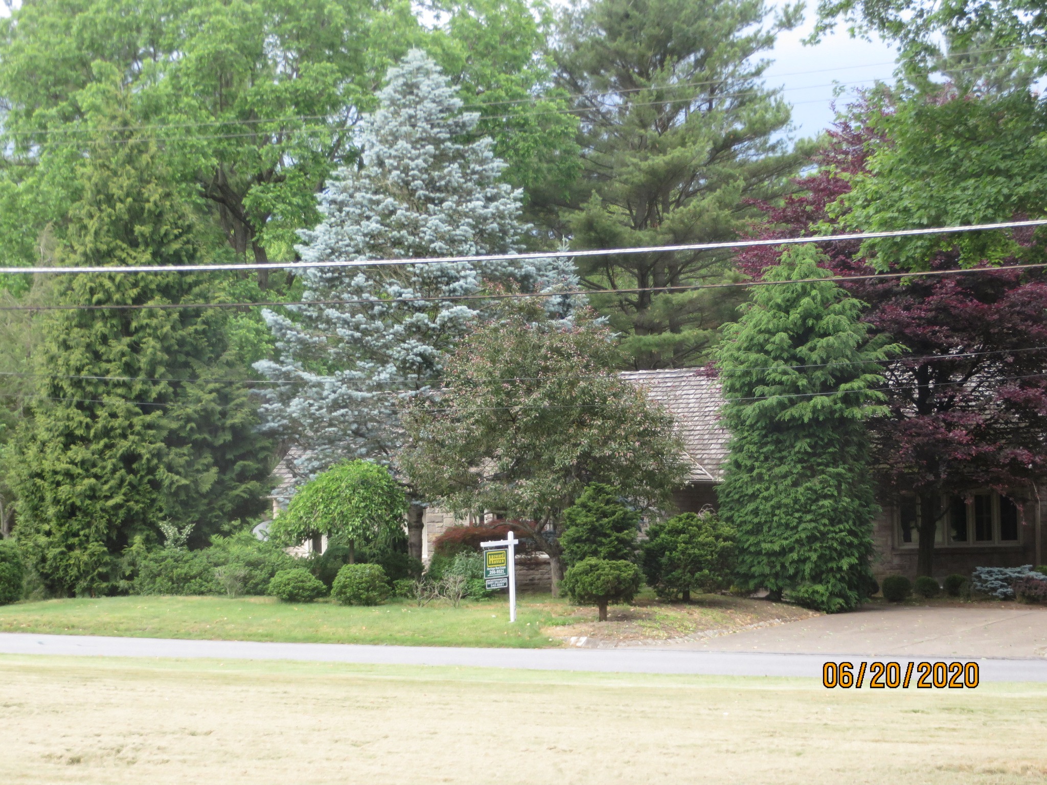 Milkey's Lawn and Landscape