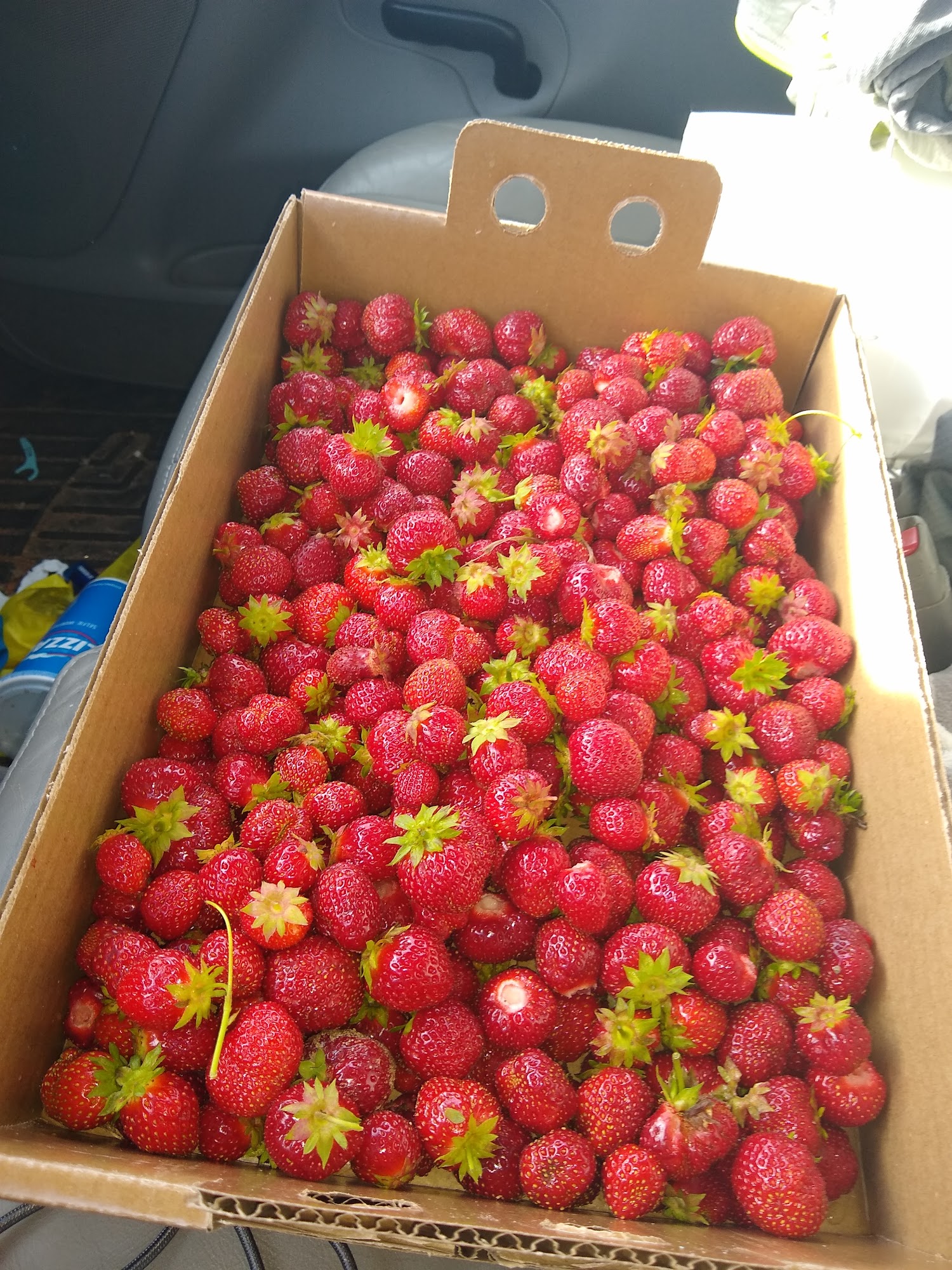 Clearwater Farms Eagle River