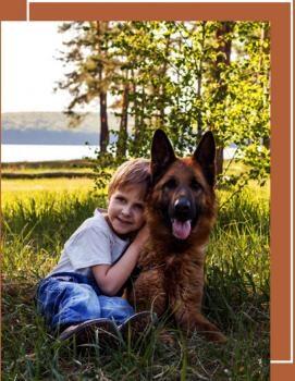 Roche's German Shepherds For Sale in Wisconsin, Illinois and Iowa East Troy