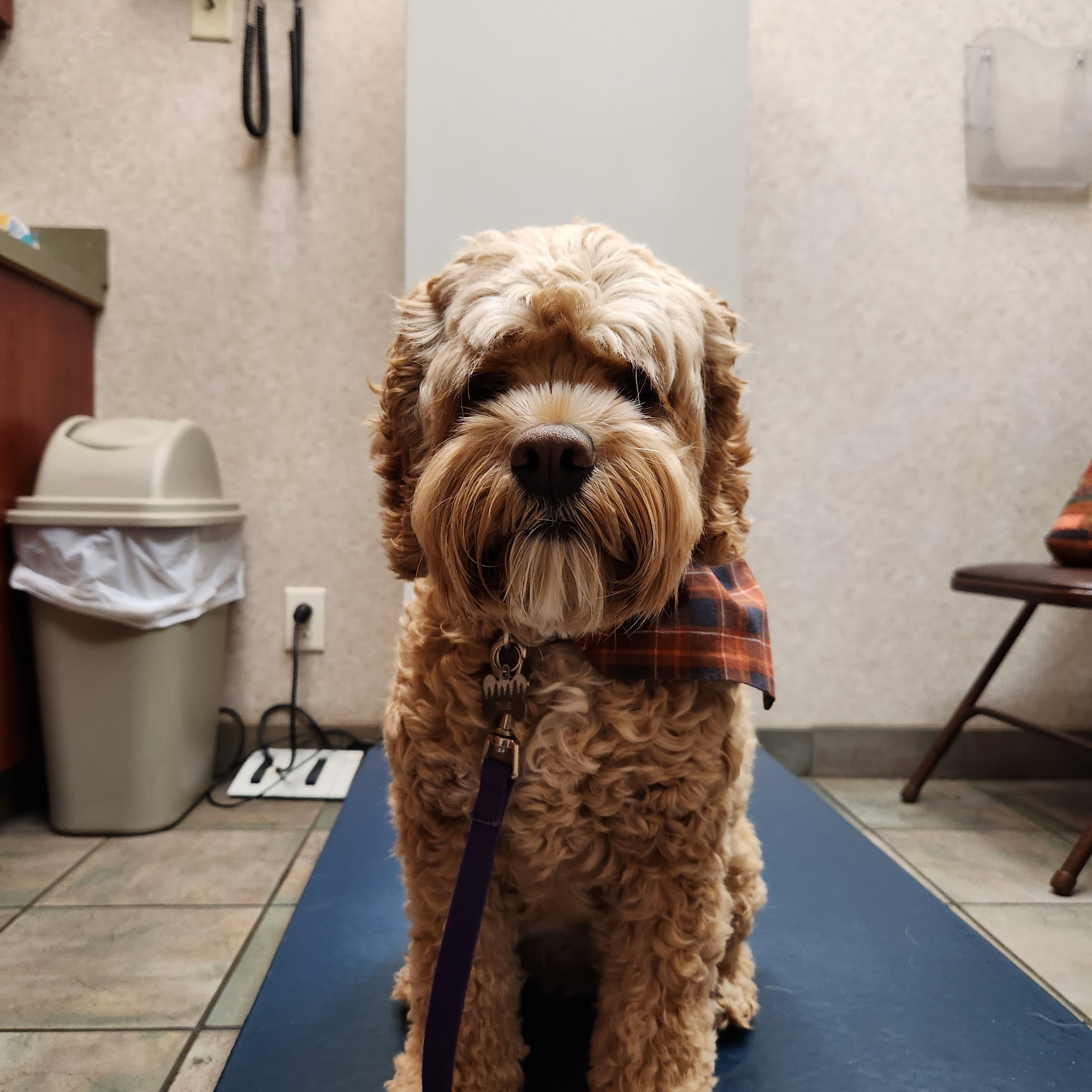 Oakwood Hills Animal Hospital Eau Claire