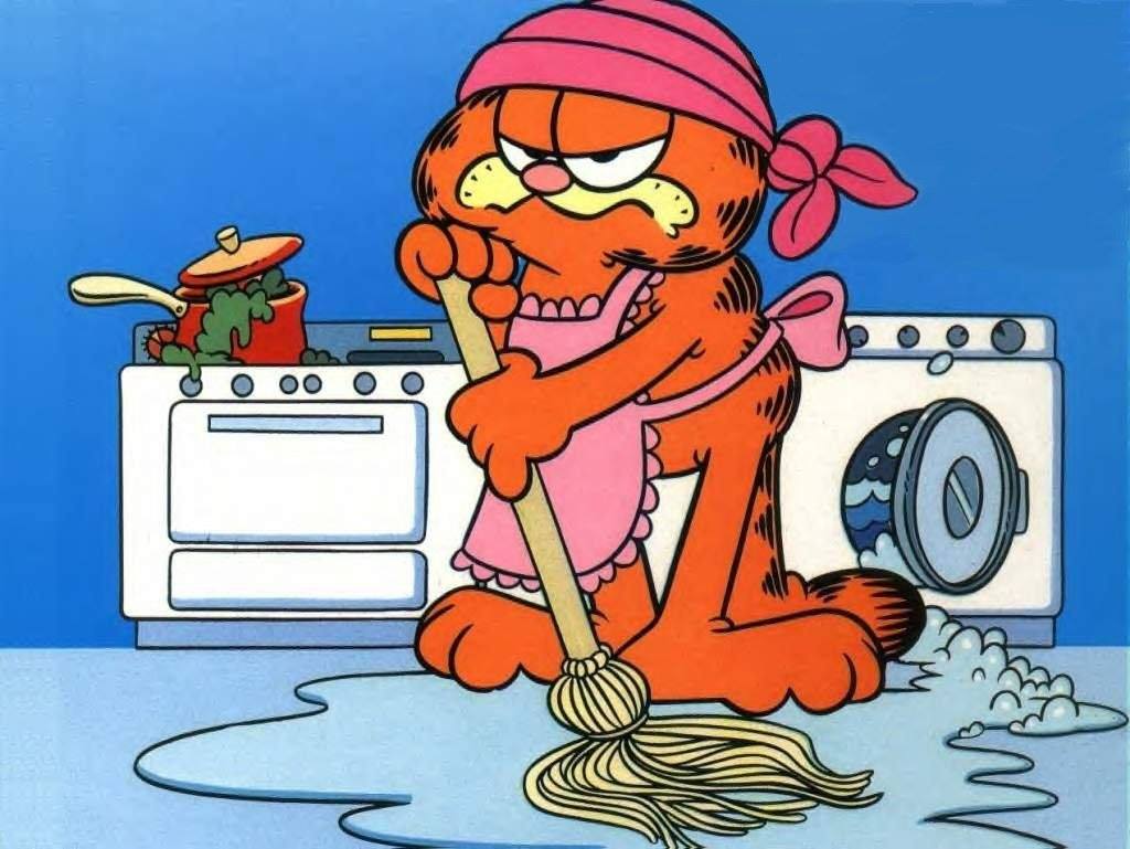 Kats Kleaning Services