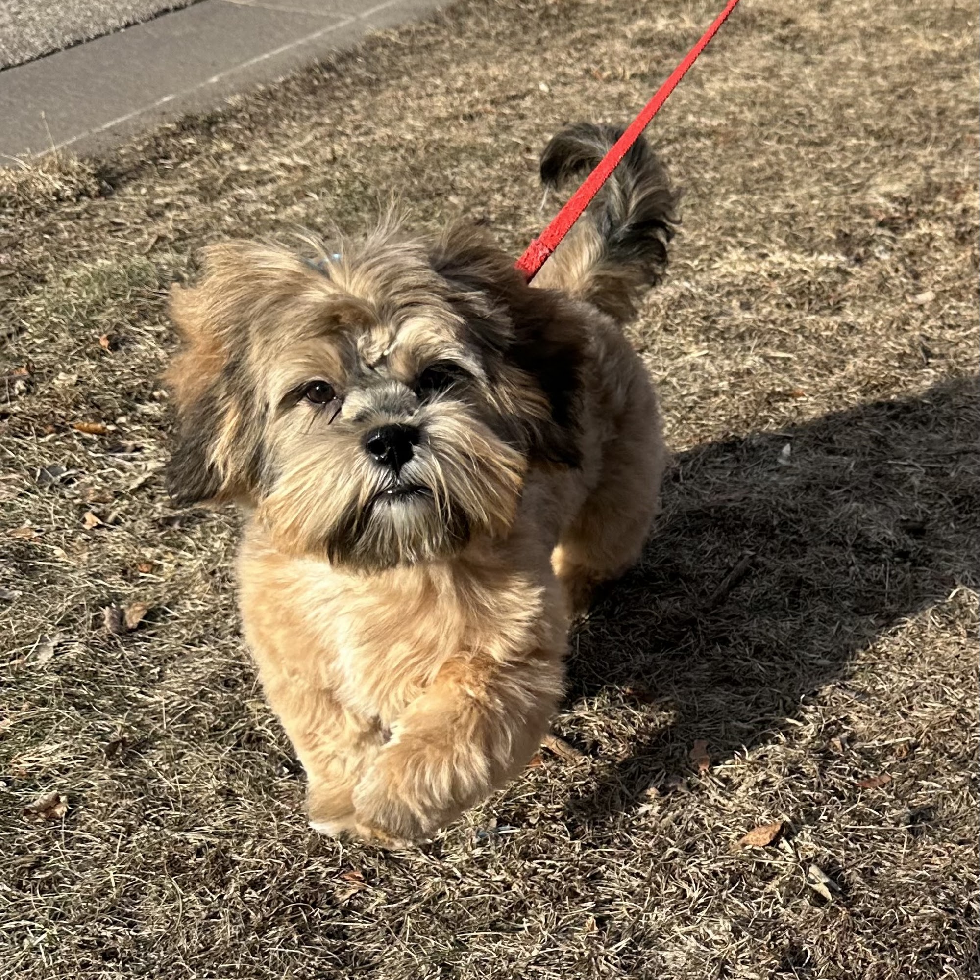 Grooming Hut Eau Claire