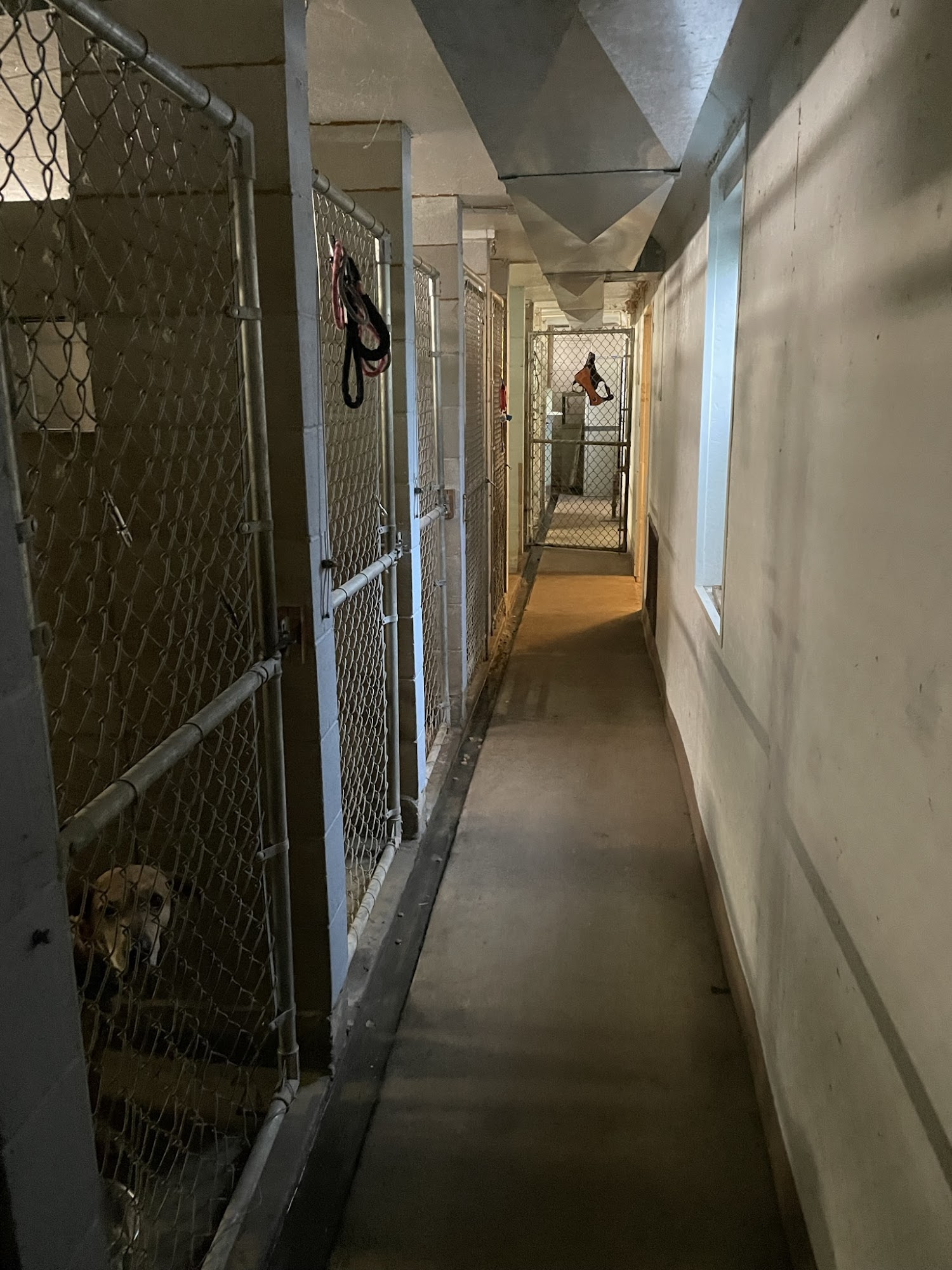 Door County Kennels Inc Egg Harbor