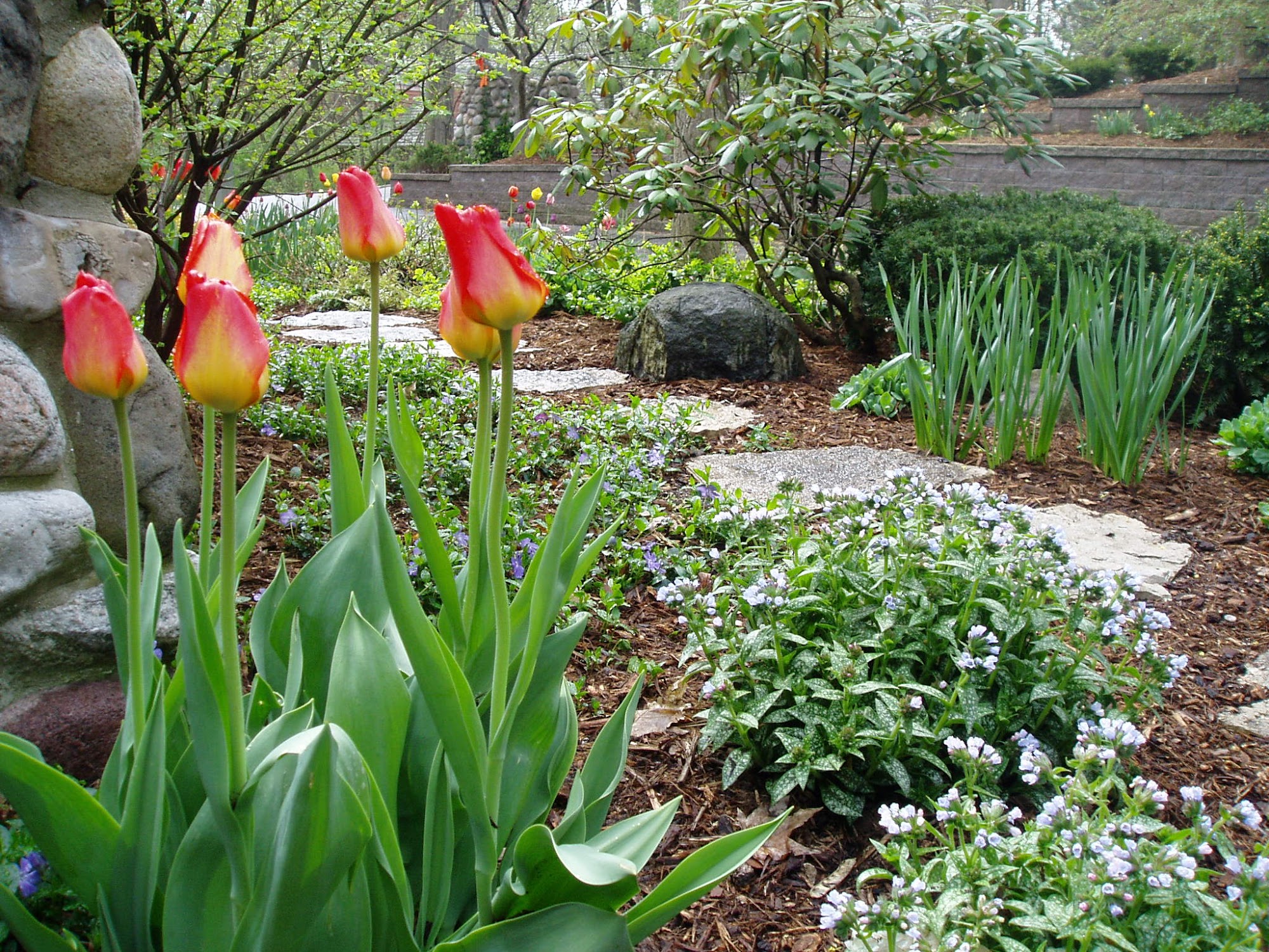 Kanavas Landscape Management, Inc.