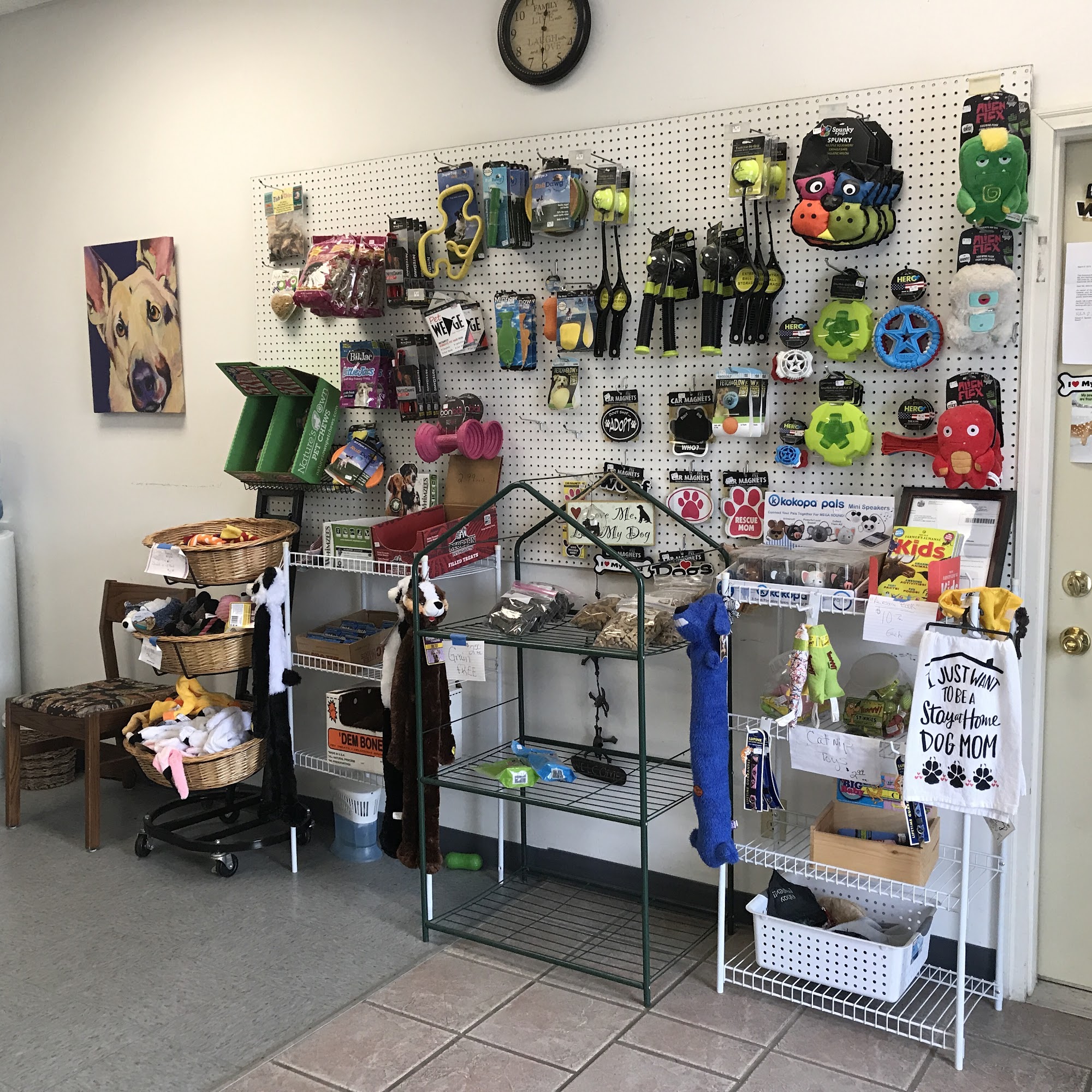 Grooming Room Evansville