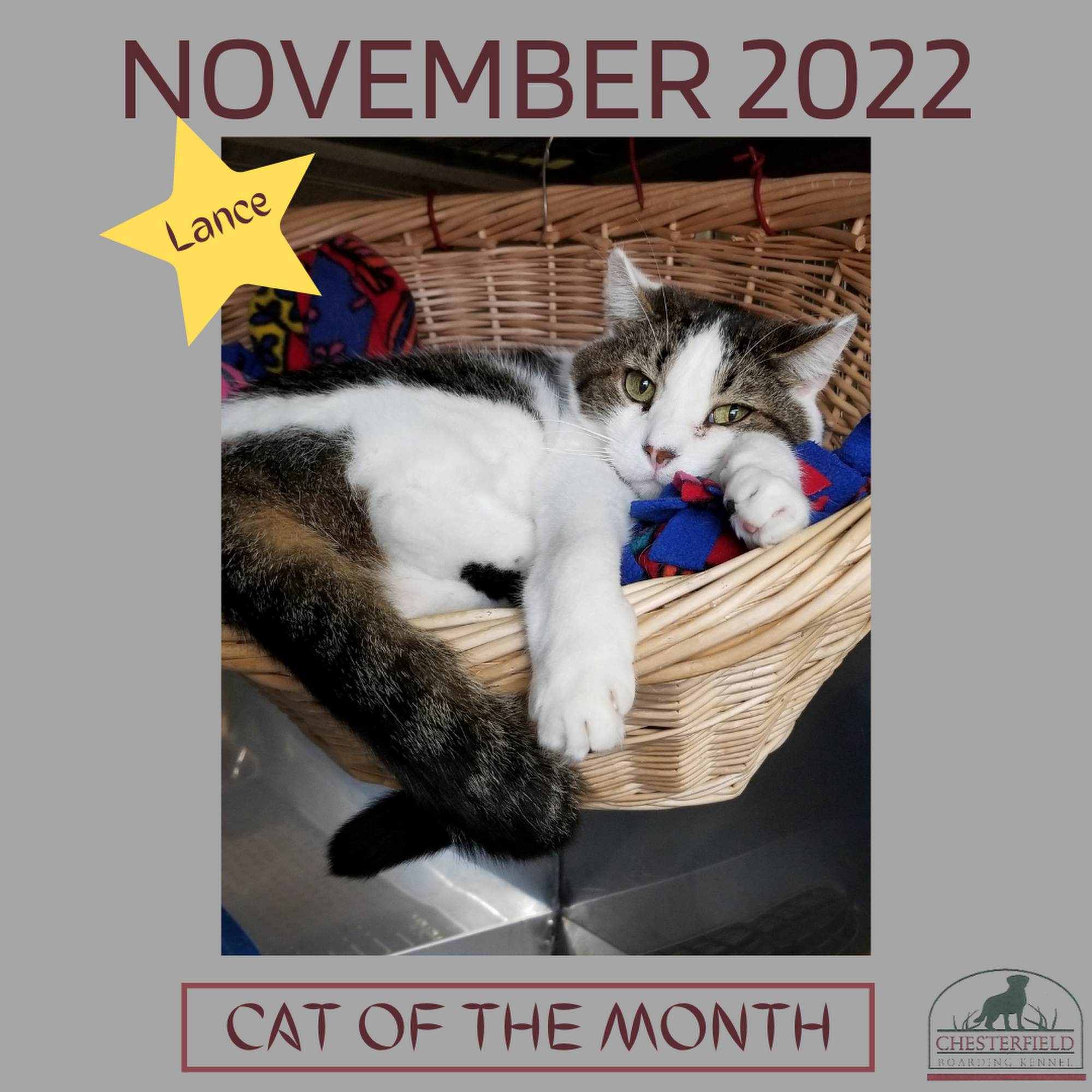 Chesterfield Boarding Kennel Evansville