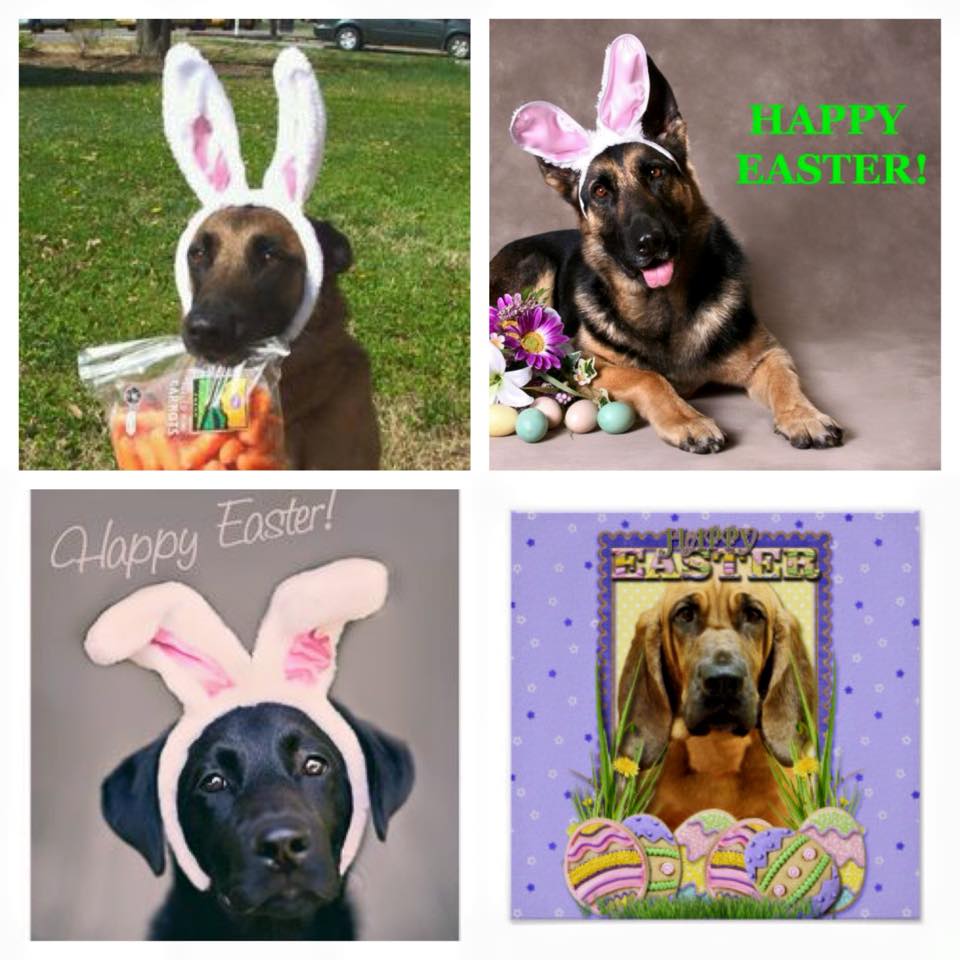 Kennel Club of Fort Atkinson Fort Atkinson