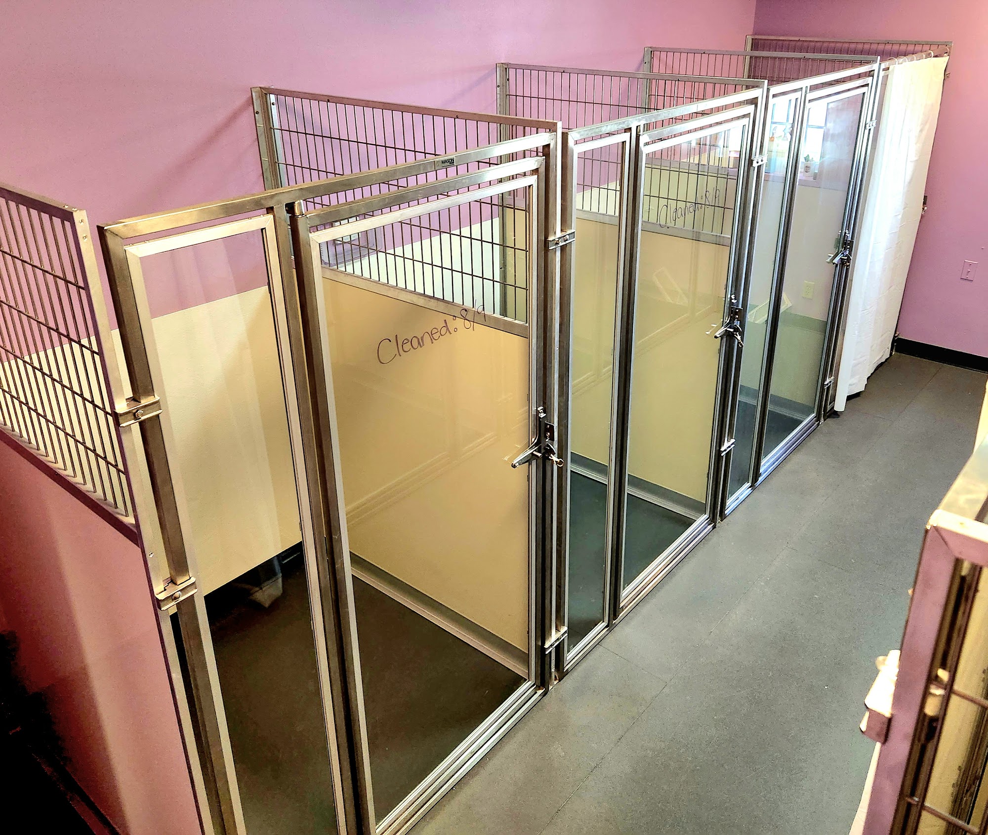 Central Bark Franklin Franklin