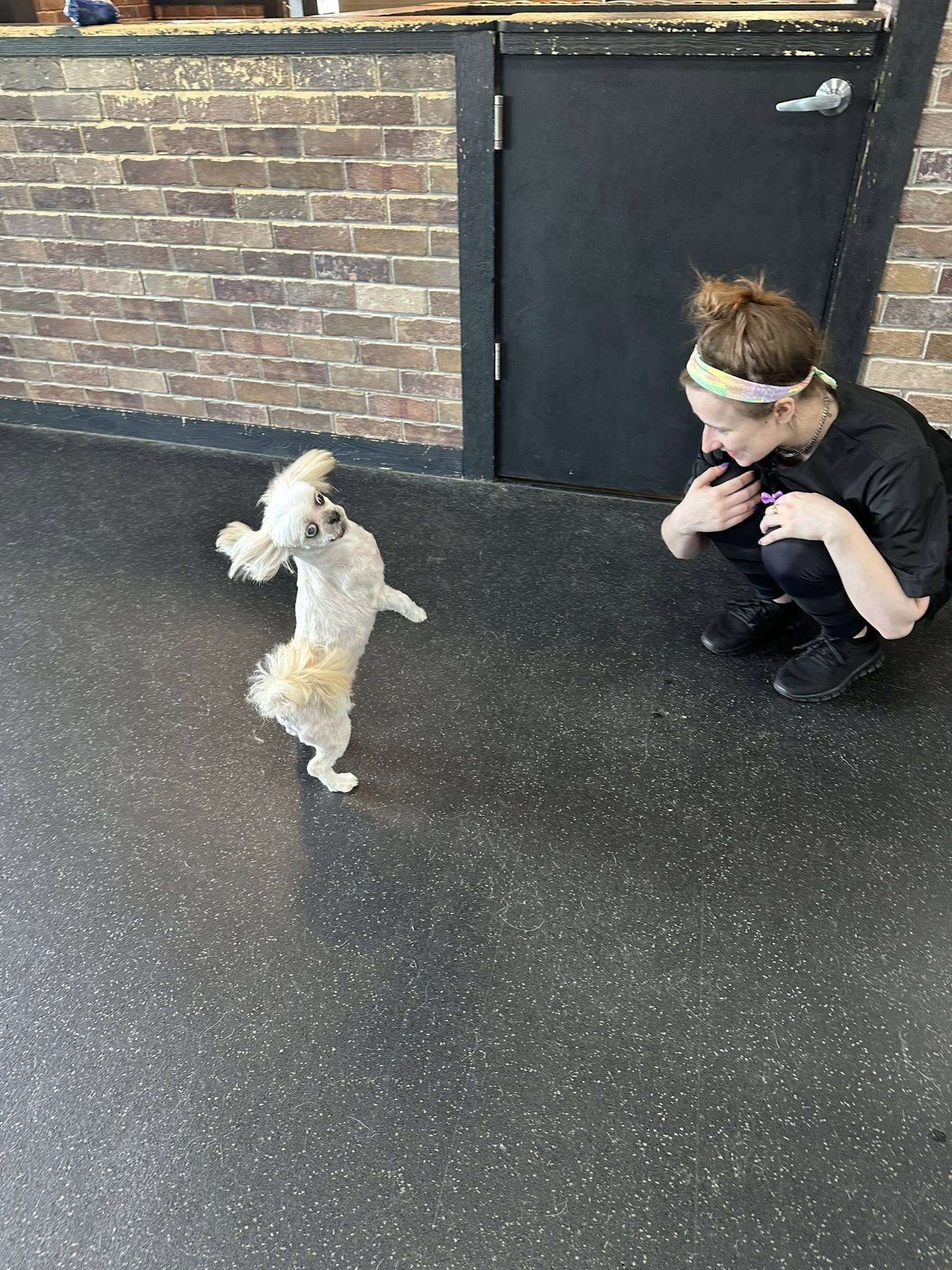Jenna'Furs Dog Grooming Germantown