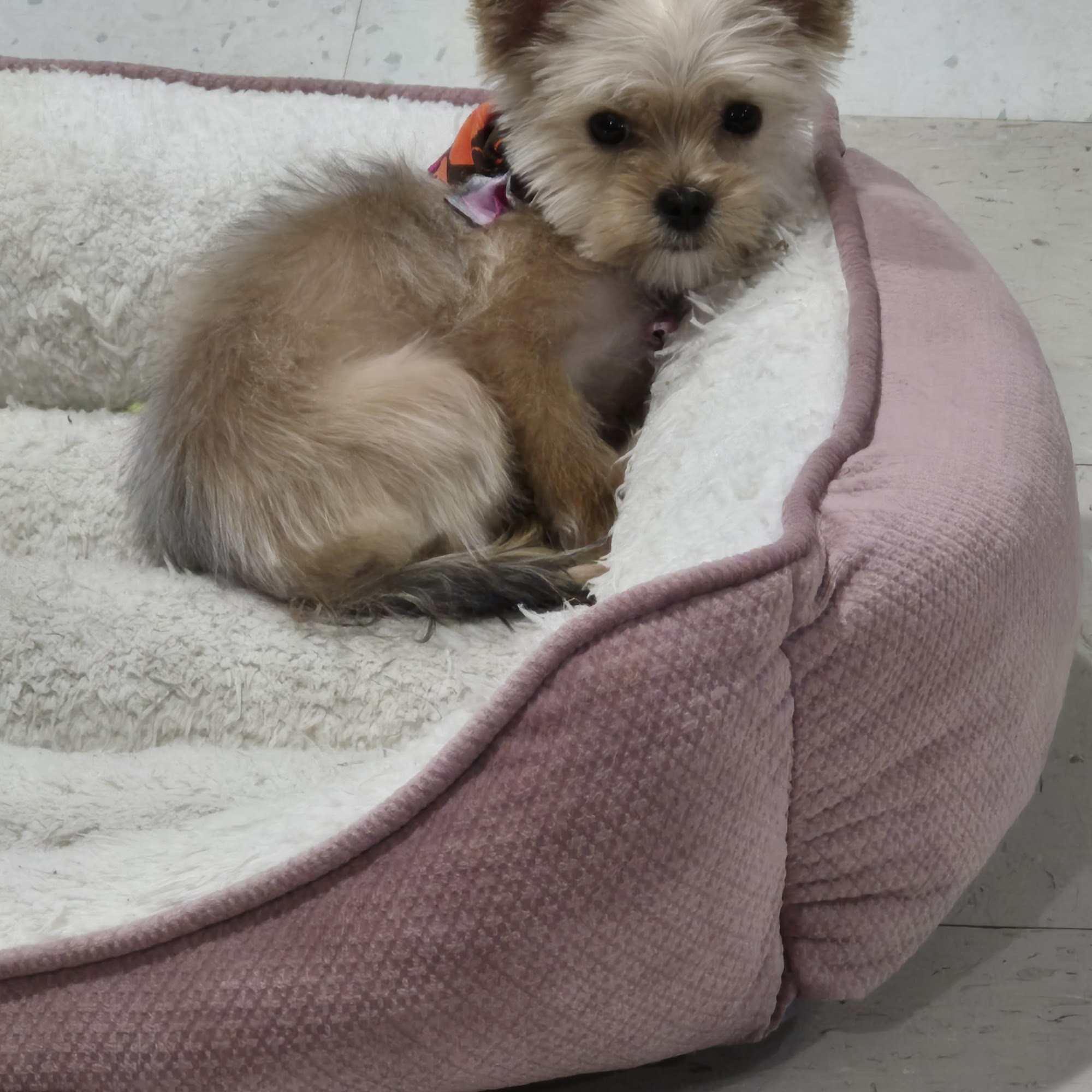 Trim Time Inc Glendale