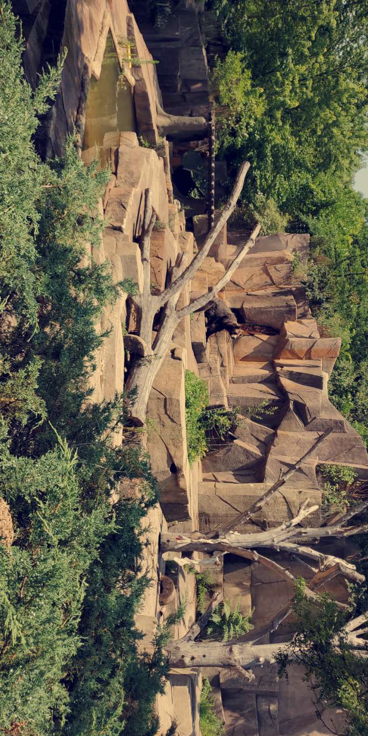 Circle Kennel Club Green Bay