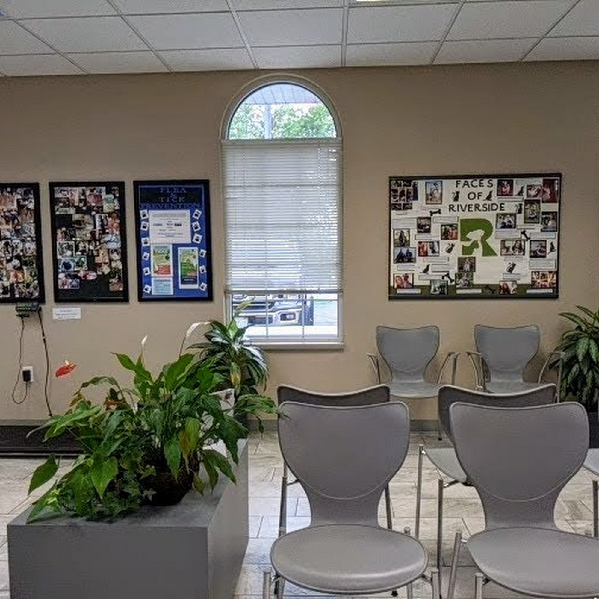 Riverside Animal Hospital: Knorr Jennifer DVM Green Bay