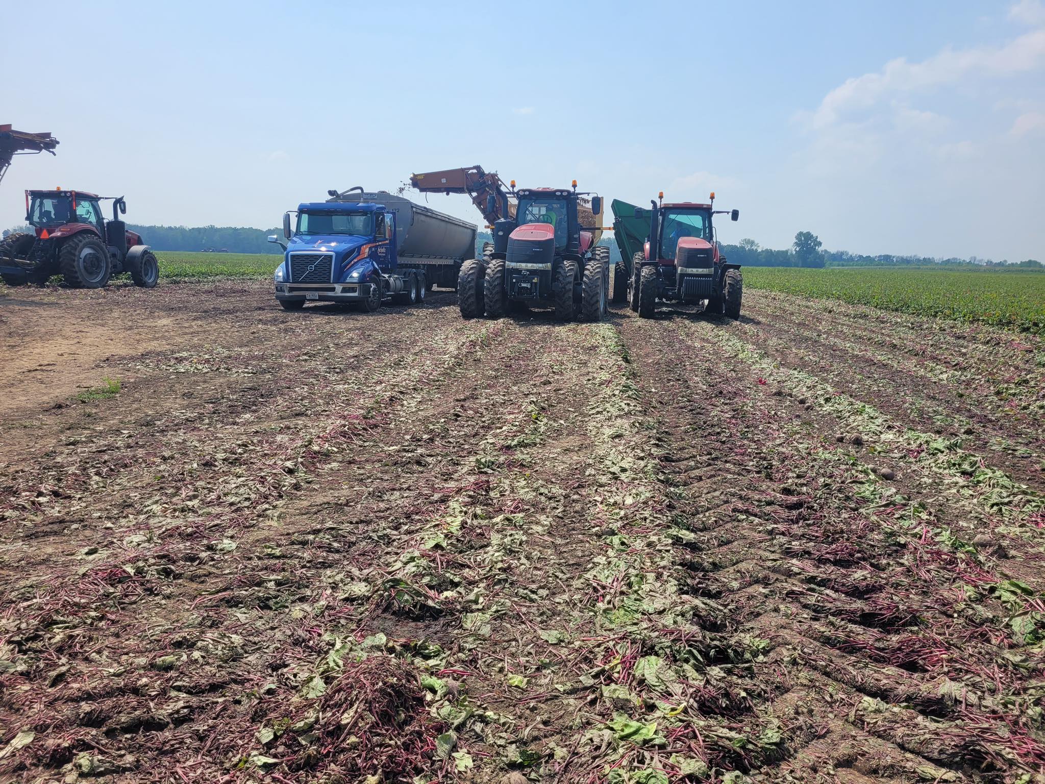 Schultz Trucking Enterprises, Inc.