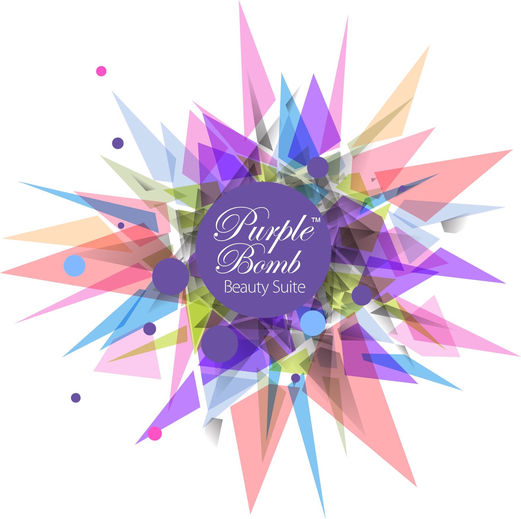 Purplebomb Beauty Suite 4840 S 76th St Suite 117, Greenfield Wisconsin 53220