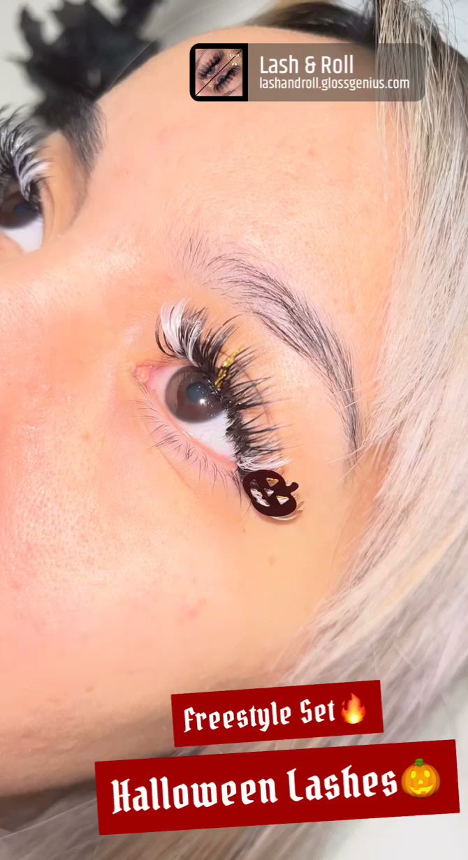 Lash & Roll 10946 W Forest Home Ave, Hales Corners Wisconsin 53130