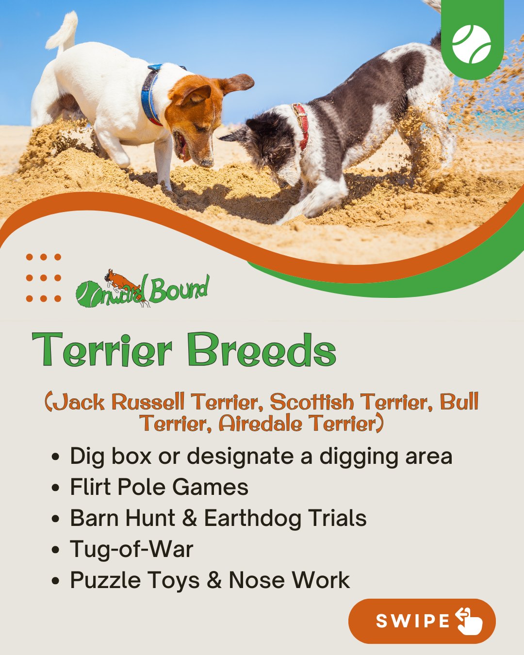 Onward Bound Incredible Dog Training Hartford