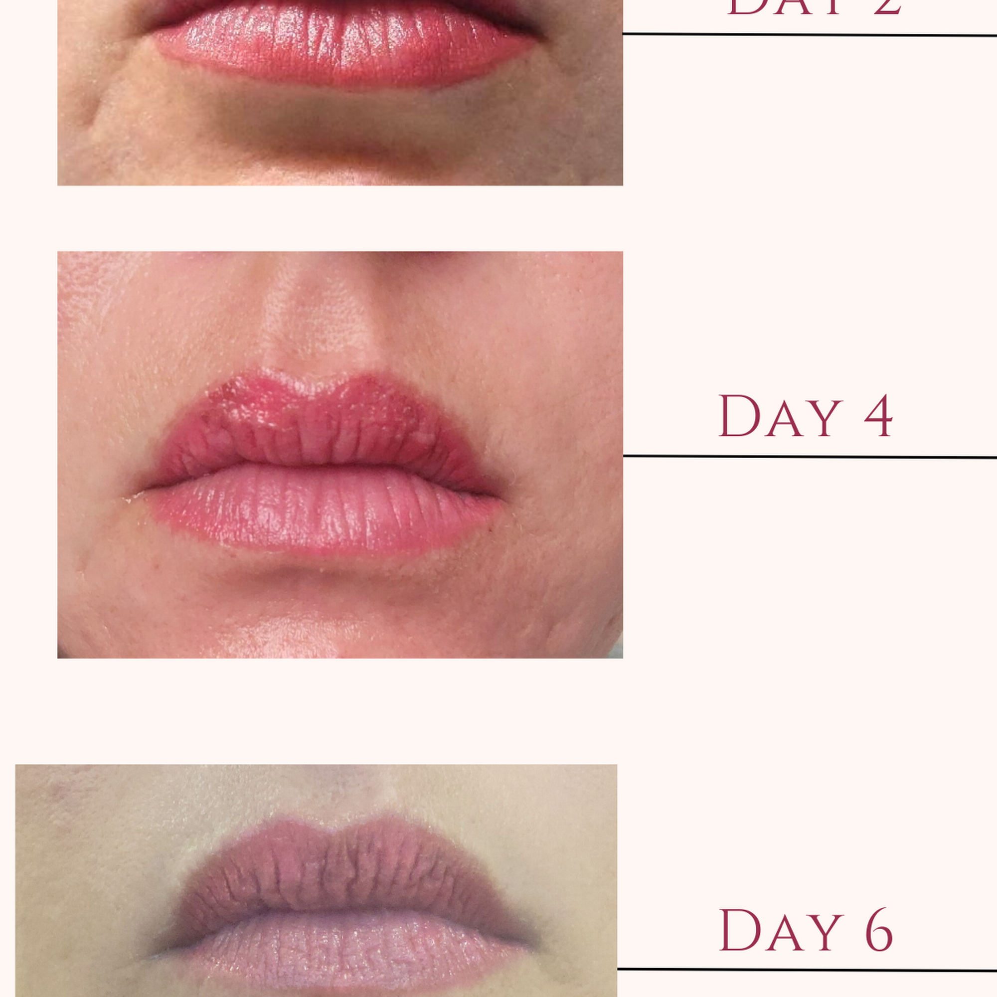 Michelle Heck Beauty Ink 664 Grand Ave, Hartford Wisconsin 53027