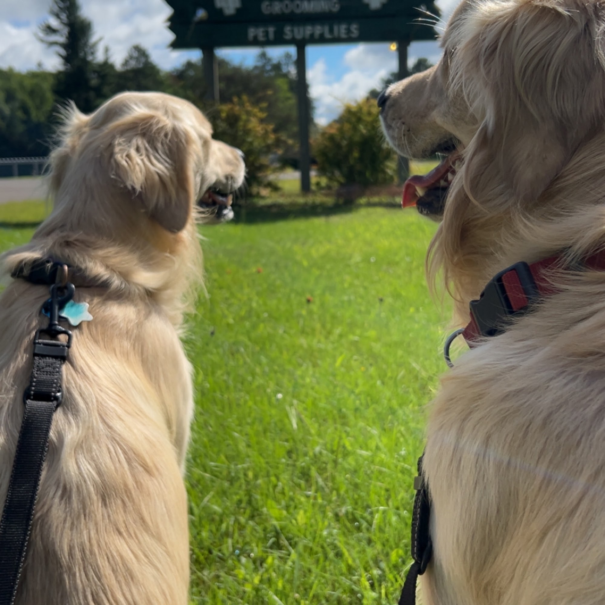 Hayward Animal Hospital Hayward