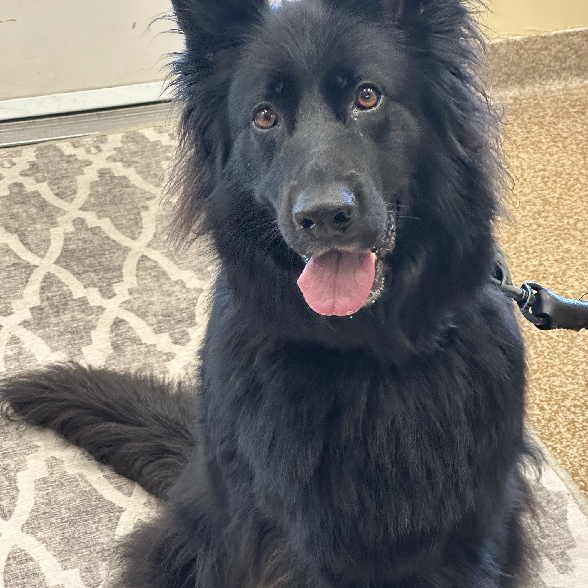 Richfield Area Pet Clinic Hubertus