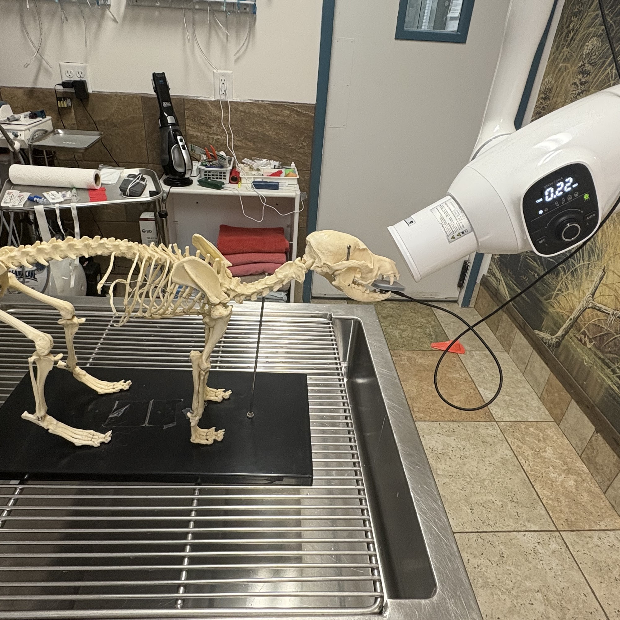 Animal Care Center of Hudson Hudson