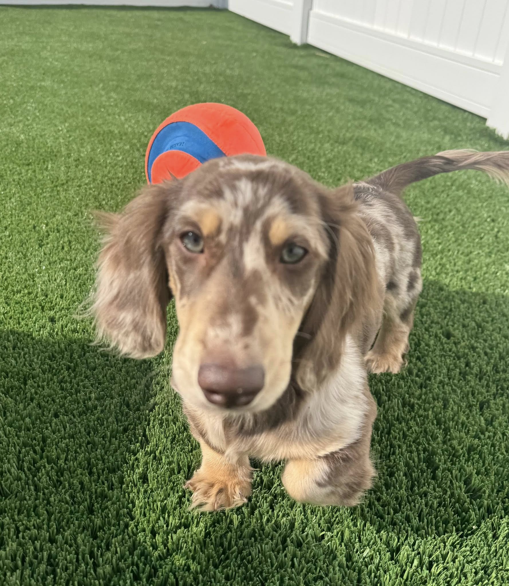 The Suites Janesville