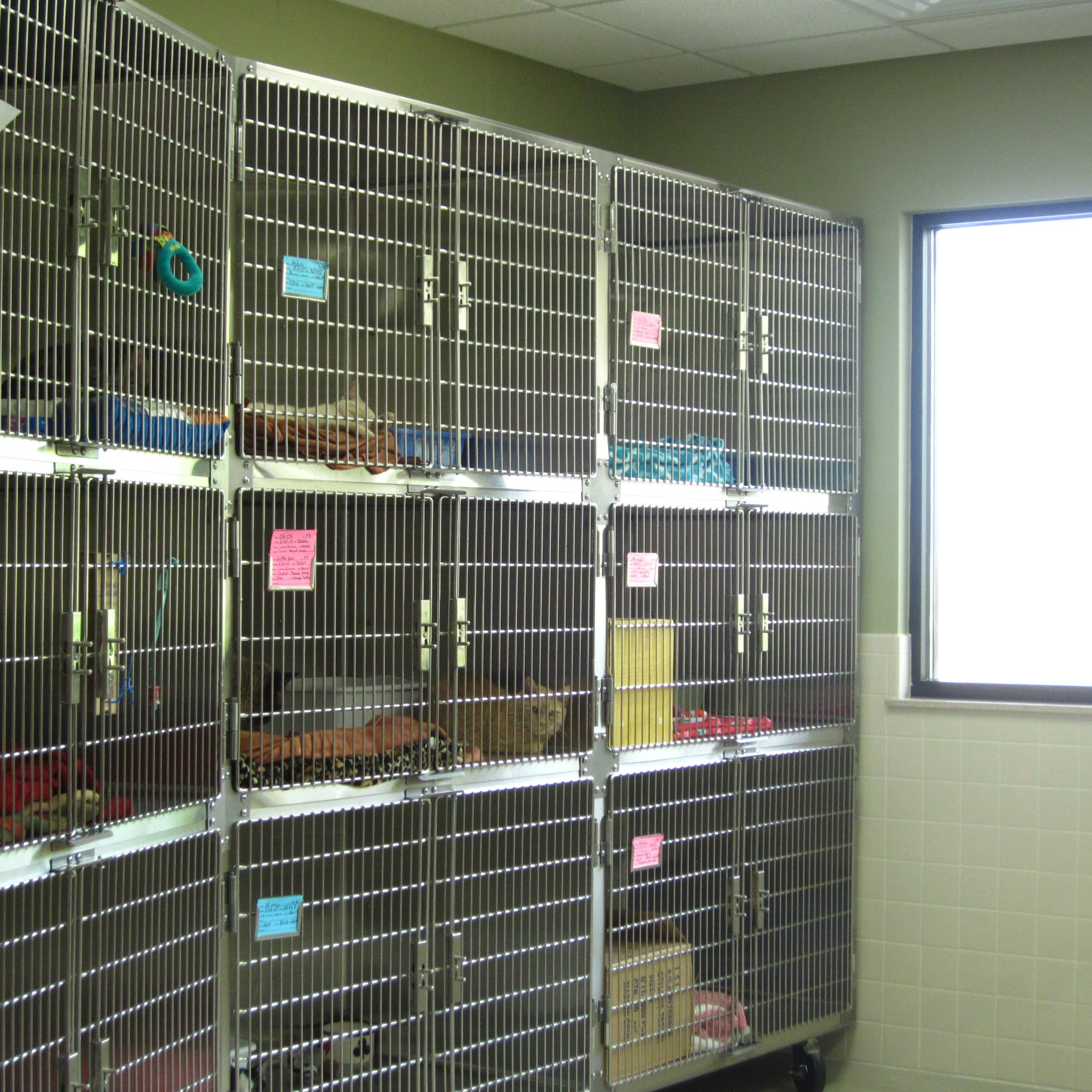 Humane Society Of Jefferson County Jefferson