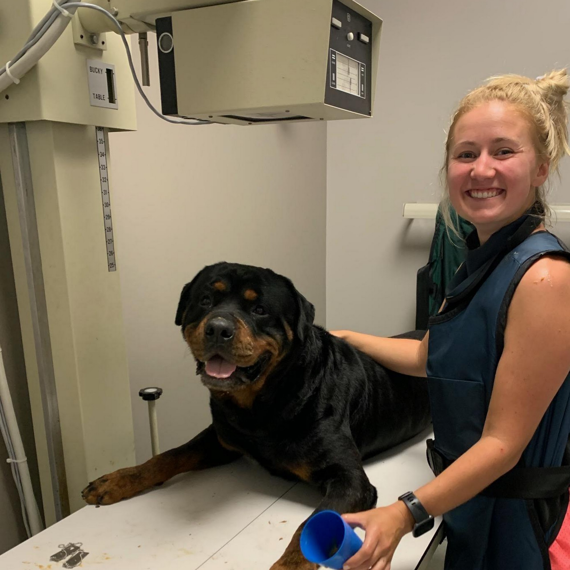 Companion Animal Hospital Kenosha Kenosha