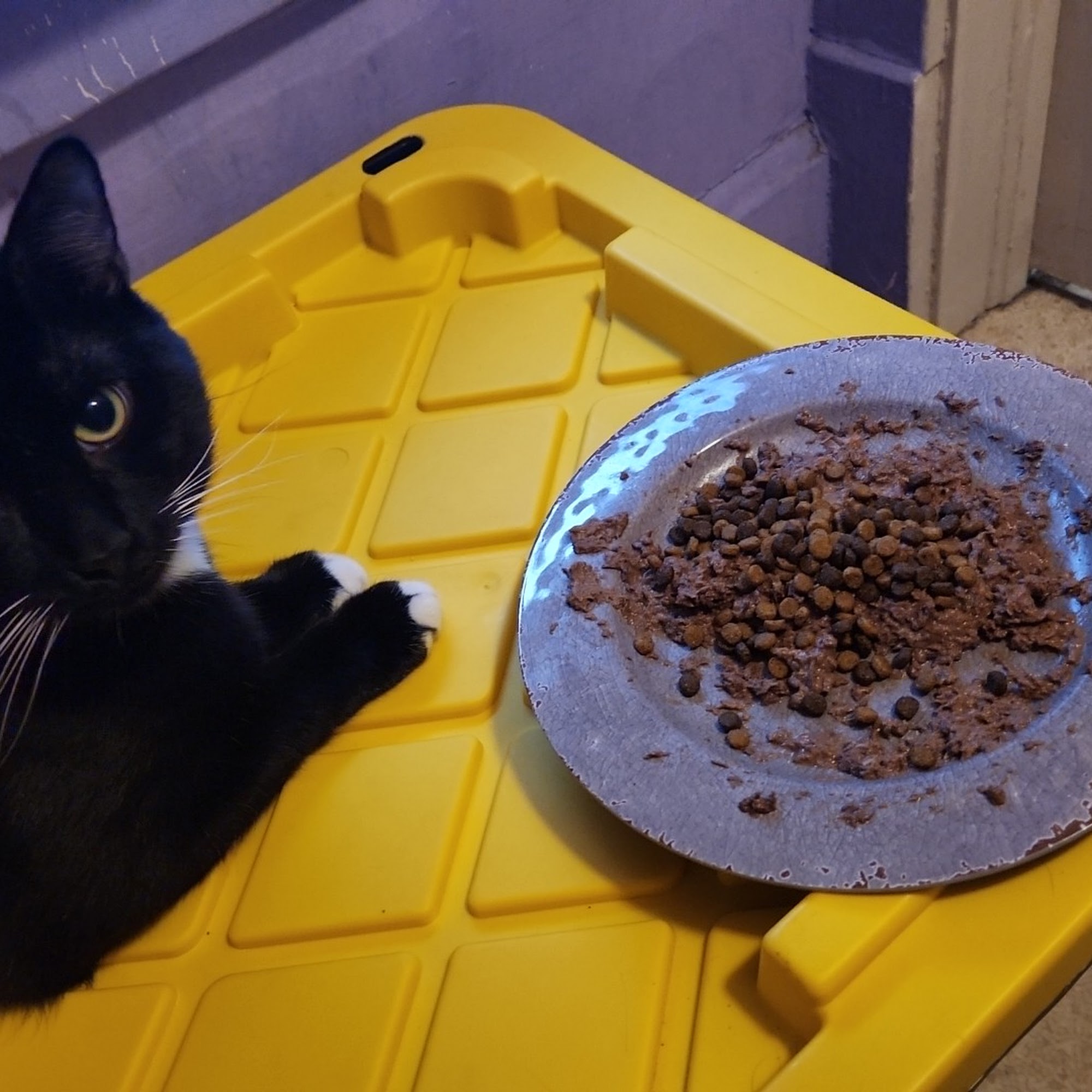 Kenosha Animal Hospital Kenosha